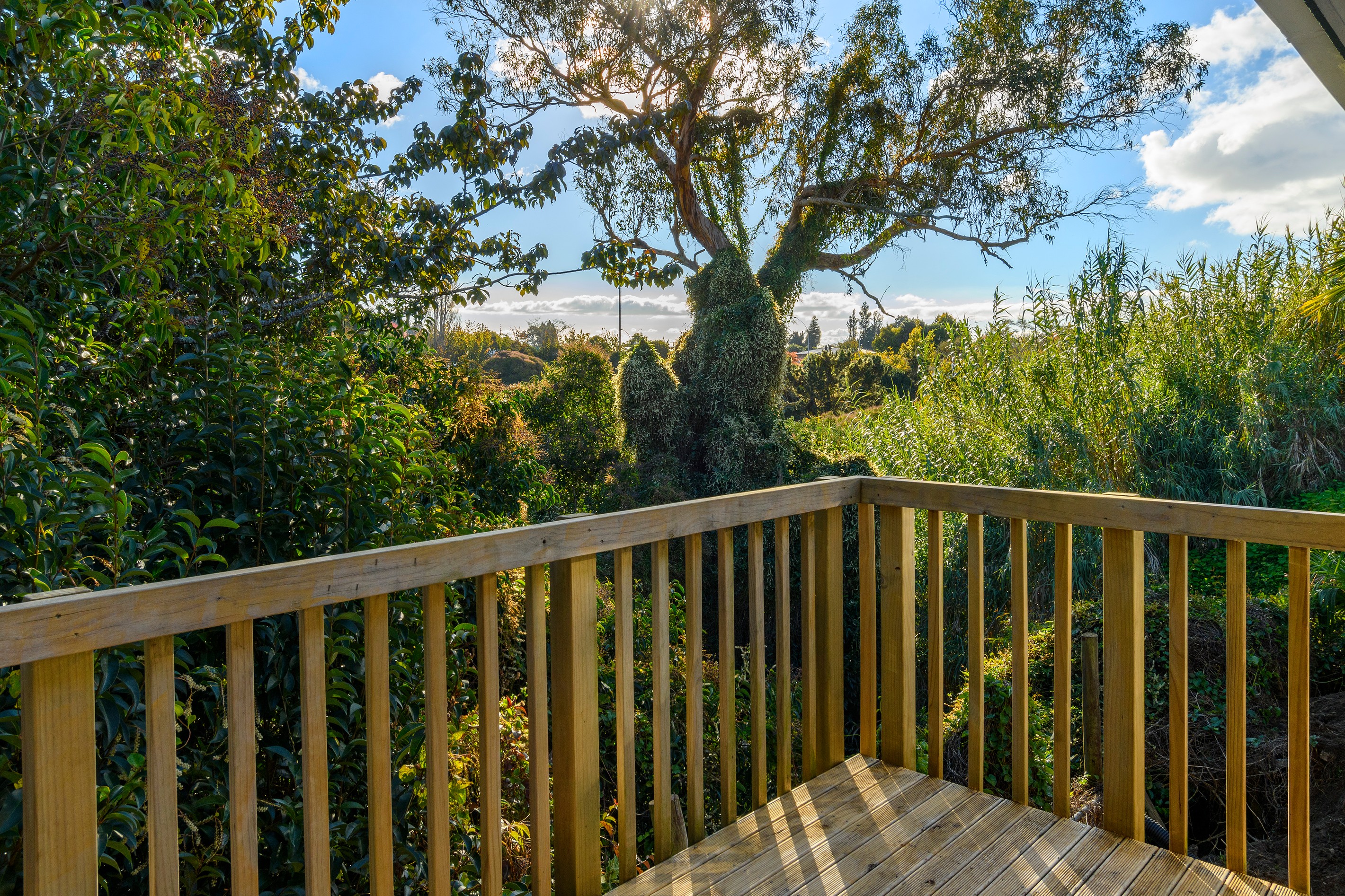 193R Moffat Road, Bethlehem, Tauranga City
