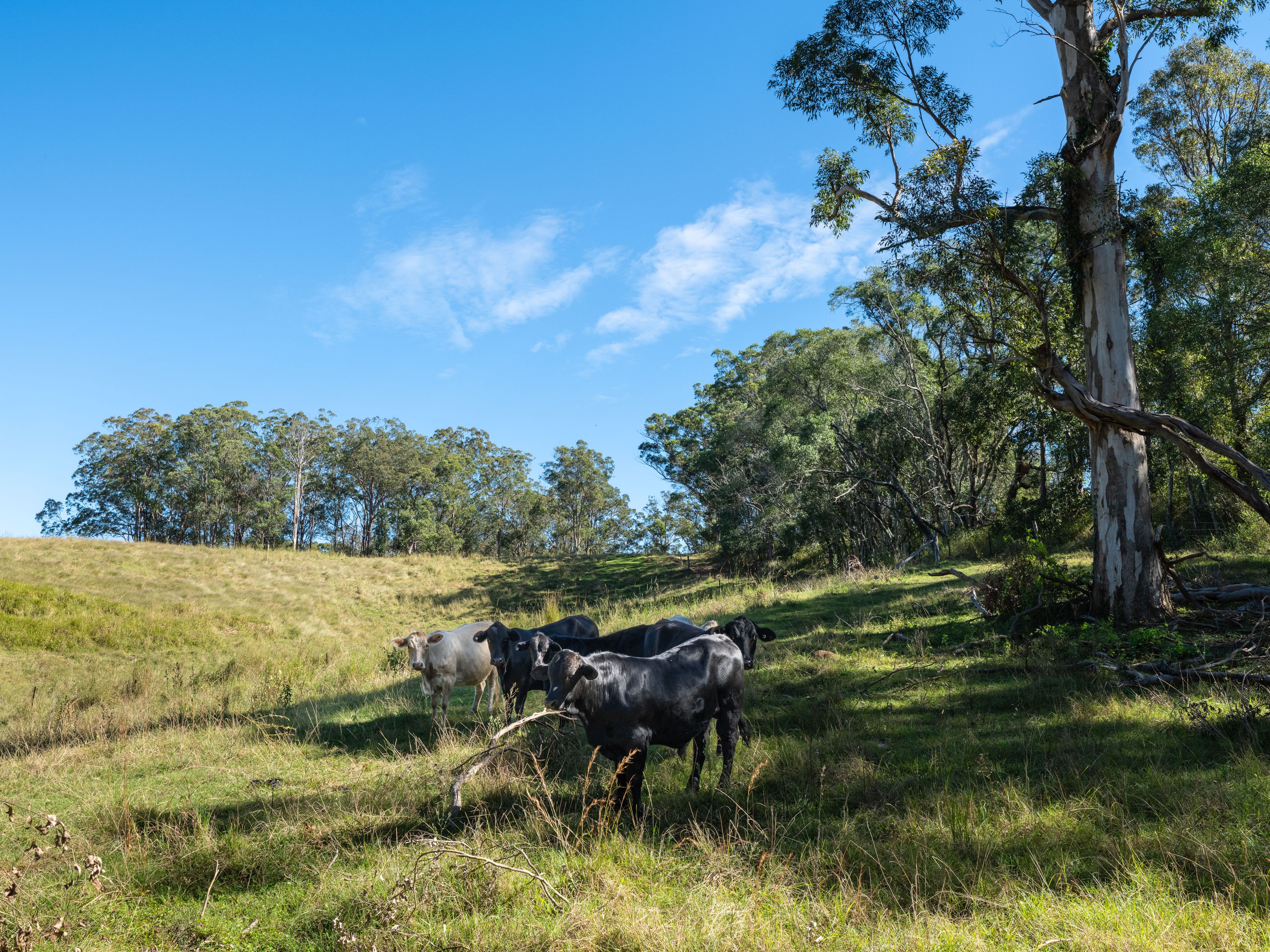 'The Stock Route' — photo 19 of 19
