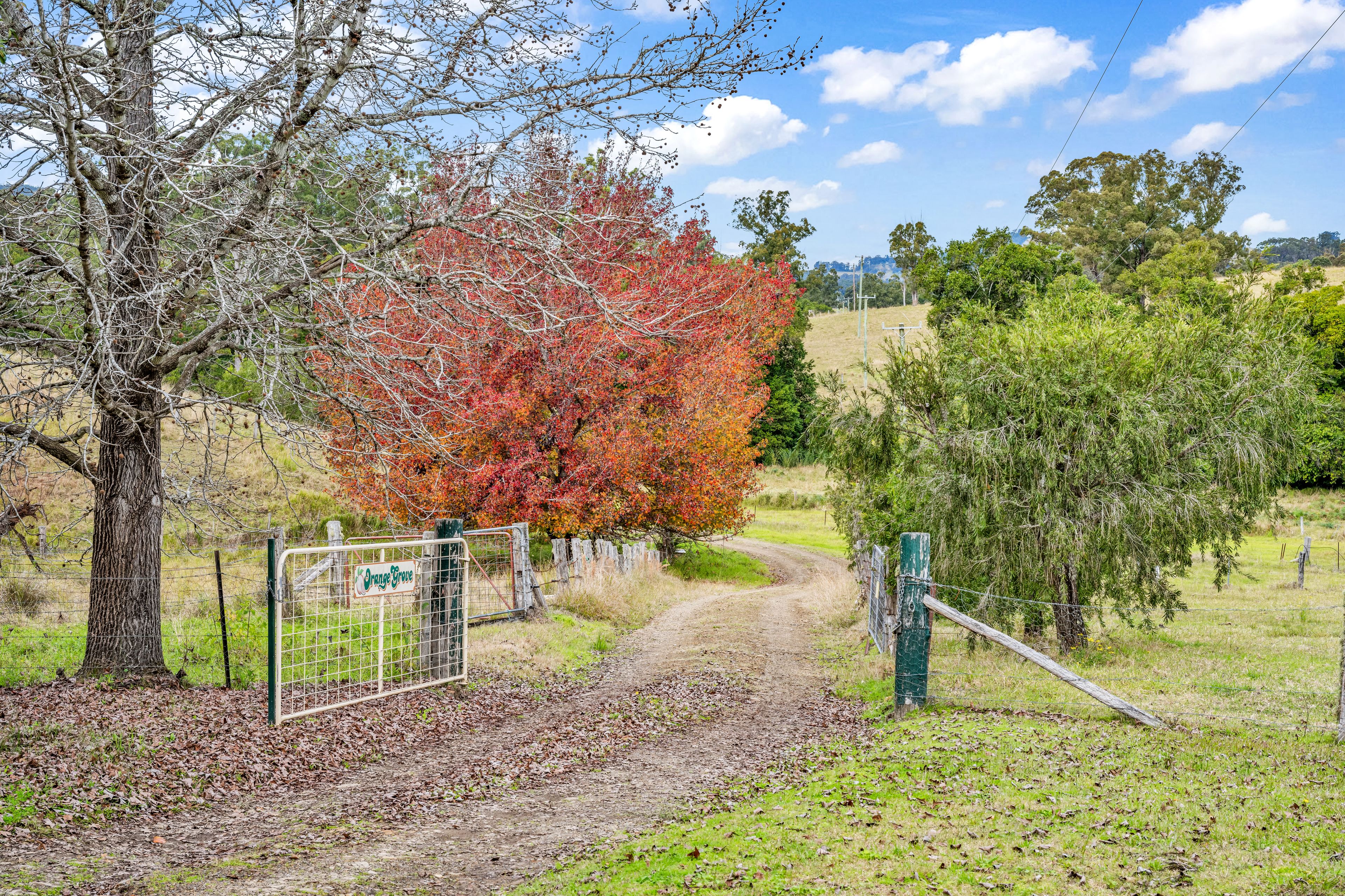 124 Orange Grove Road, Fosterton, NSW 2420
