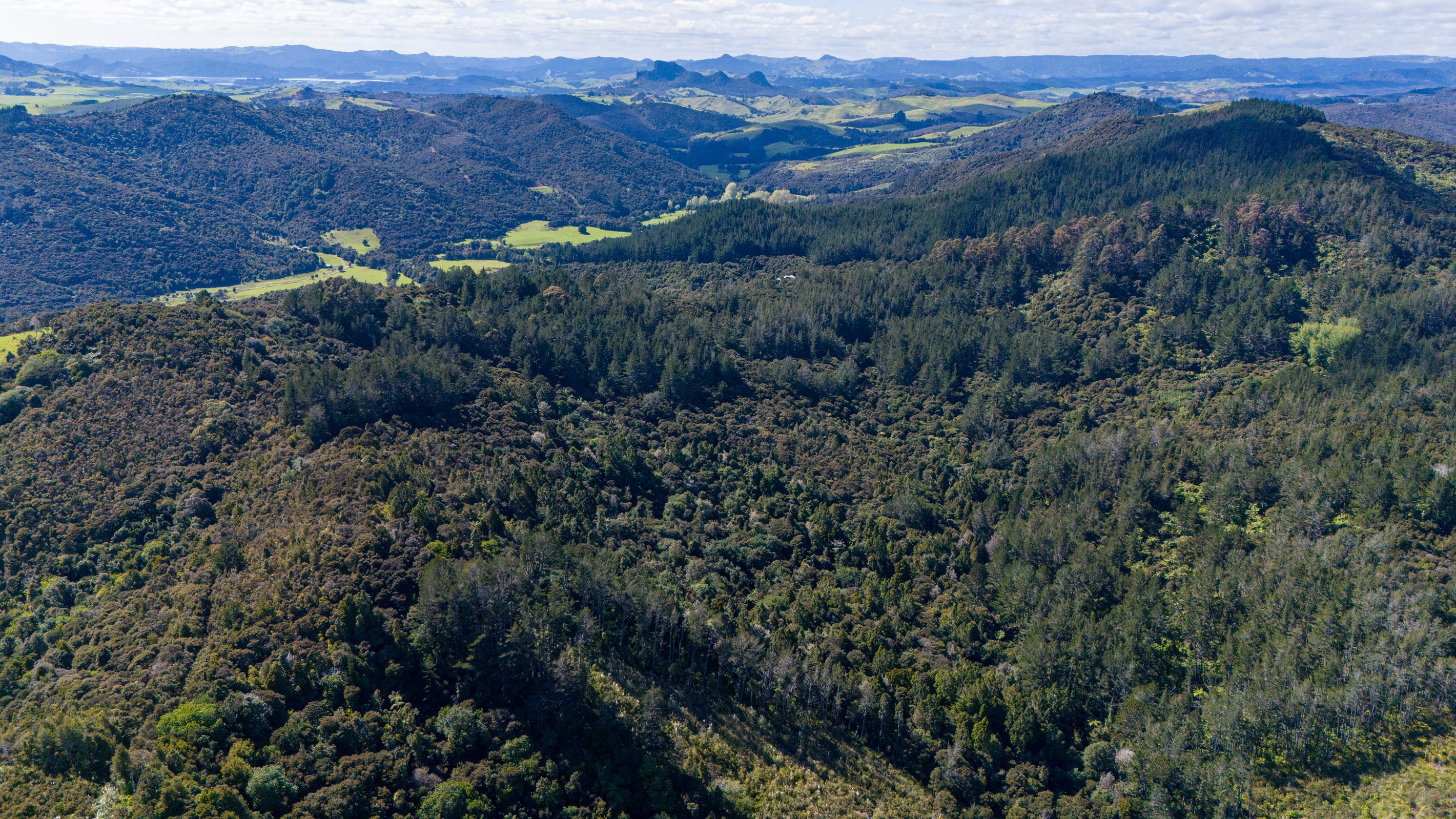 Allot 155 & 77 Goshen Valley Road, Mangonui, Far North District