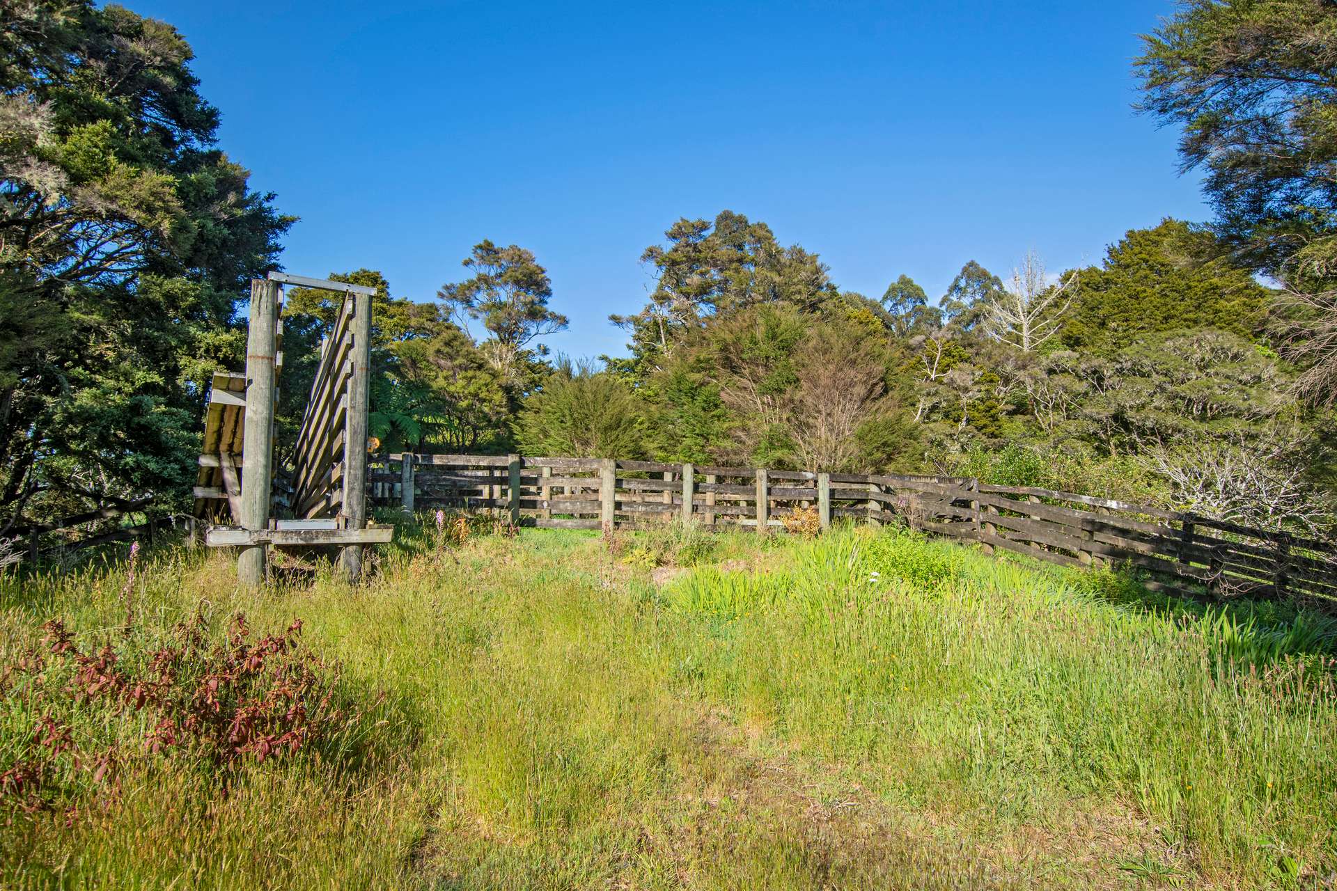 0 Russell Road Airstrip Block photo 30