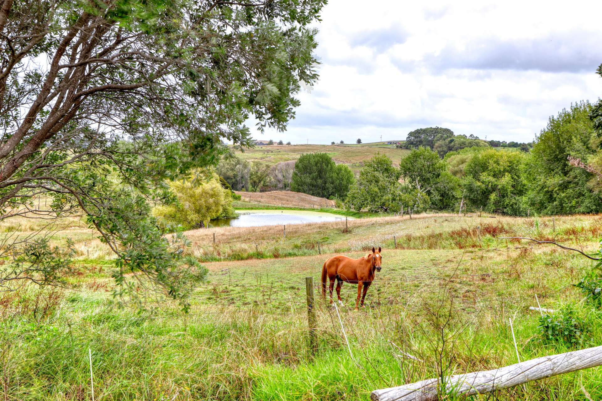 75 Homestead Lane photo 3