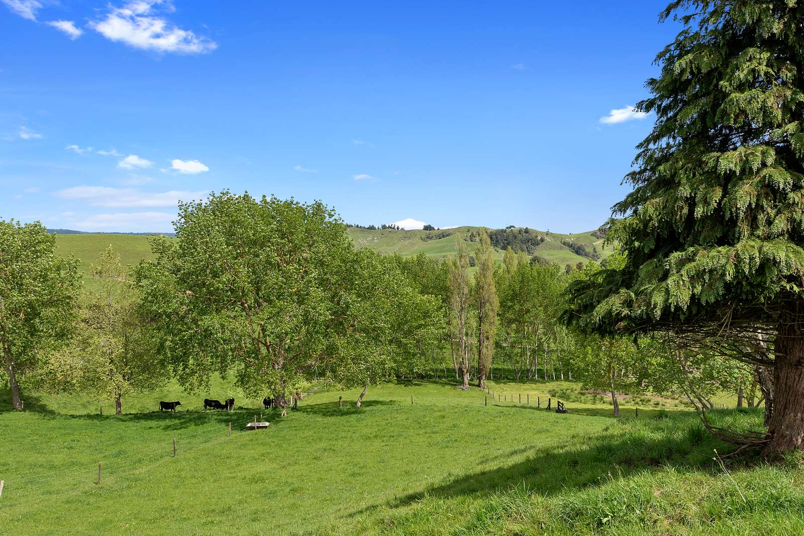 865 Te Pahu Road, Te Pahu, Waipa District Real Estate Ray White New