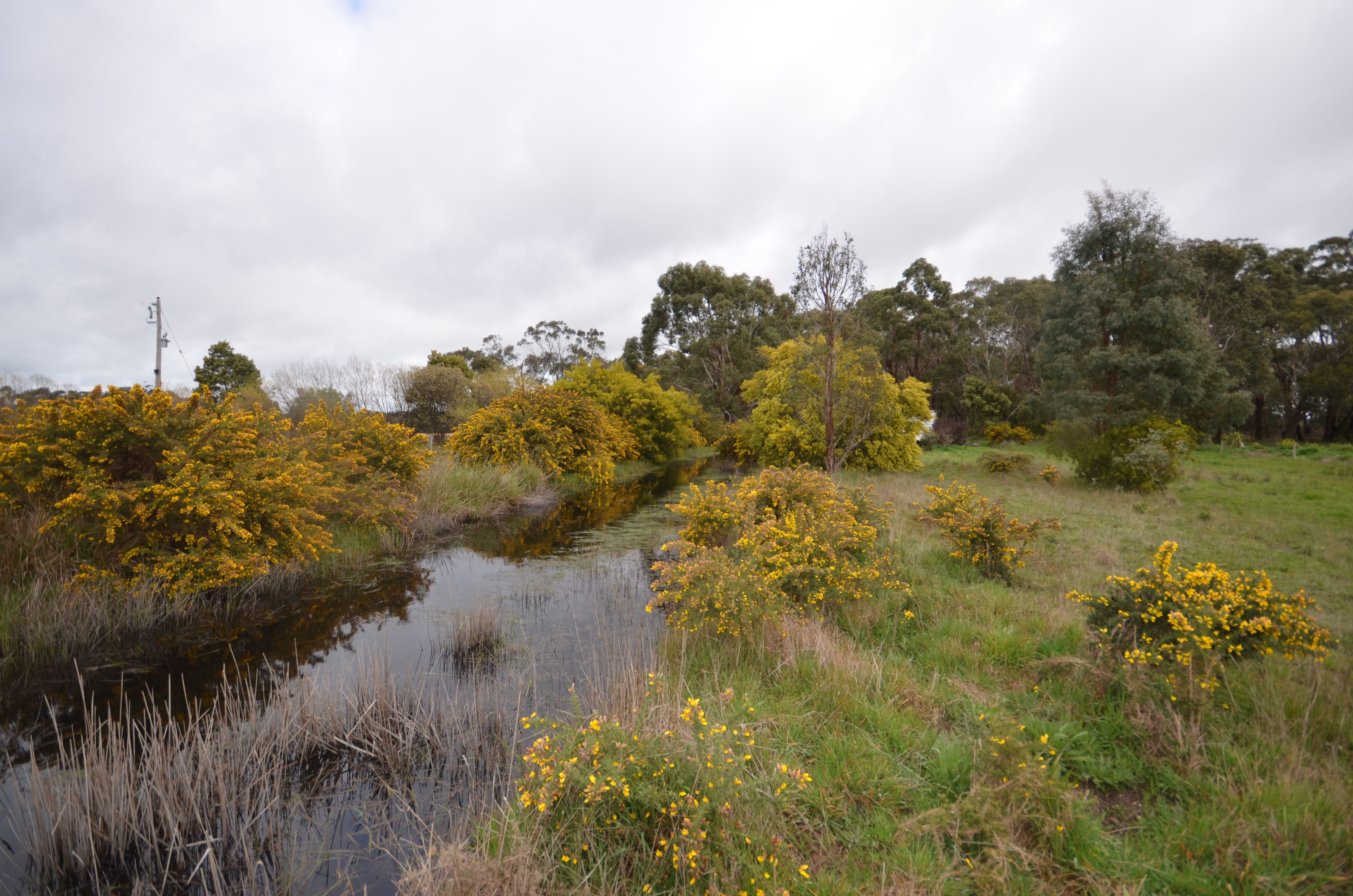 Lot 2001 Coalmine Road, Lal Lal, VIC 3352