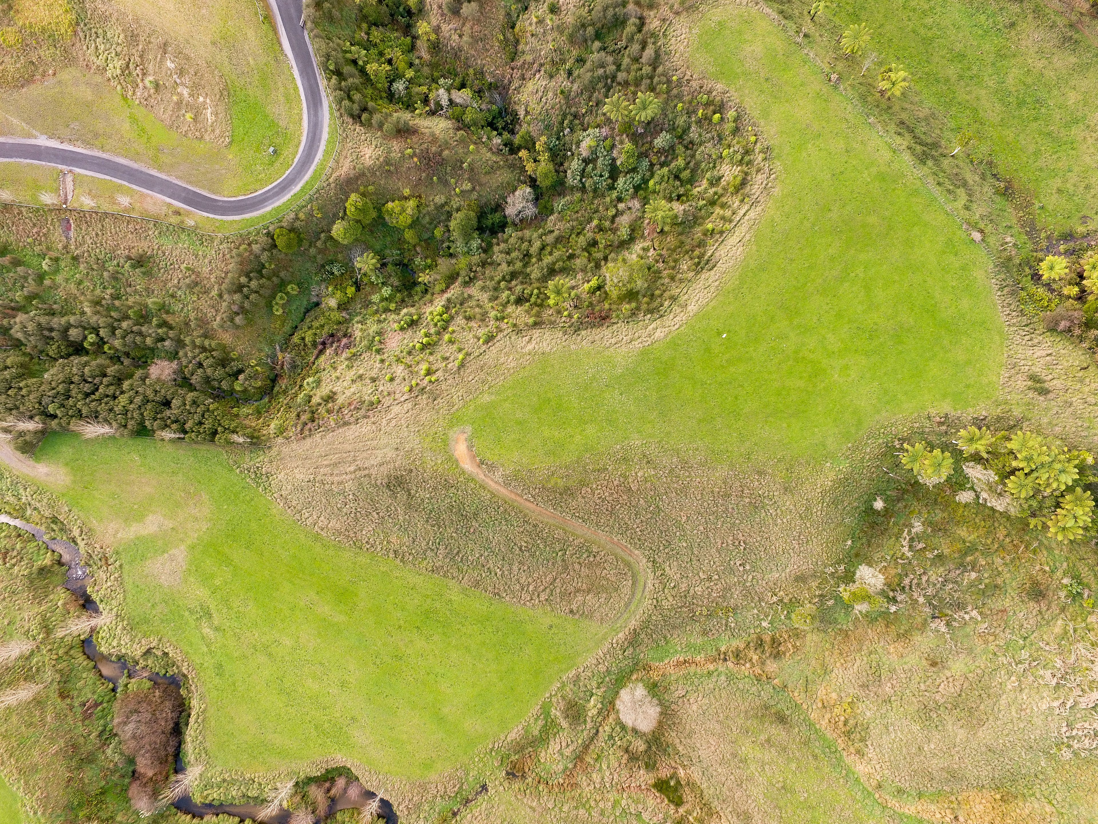 91 (Lot 6) Gasson Lane, Pyes Pa, Tauranga City