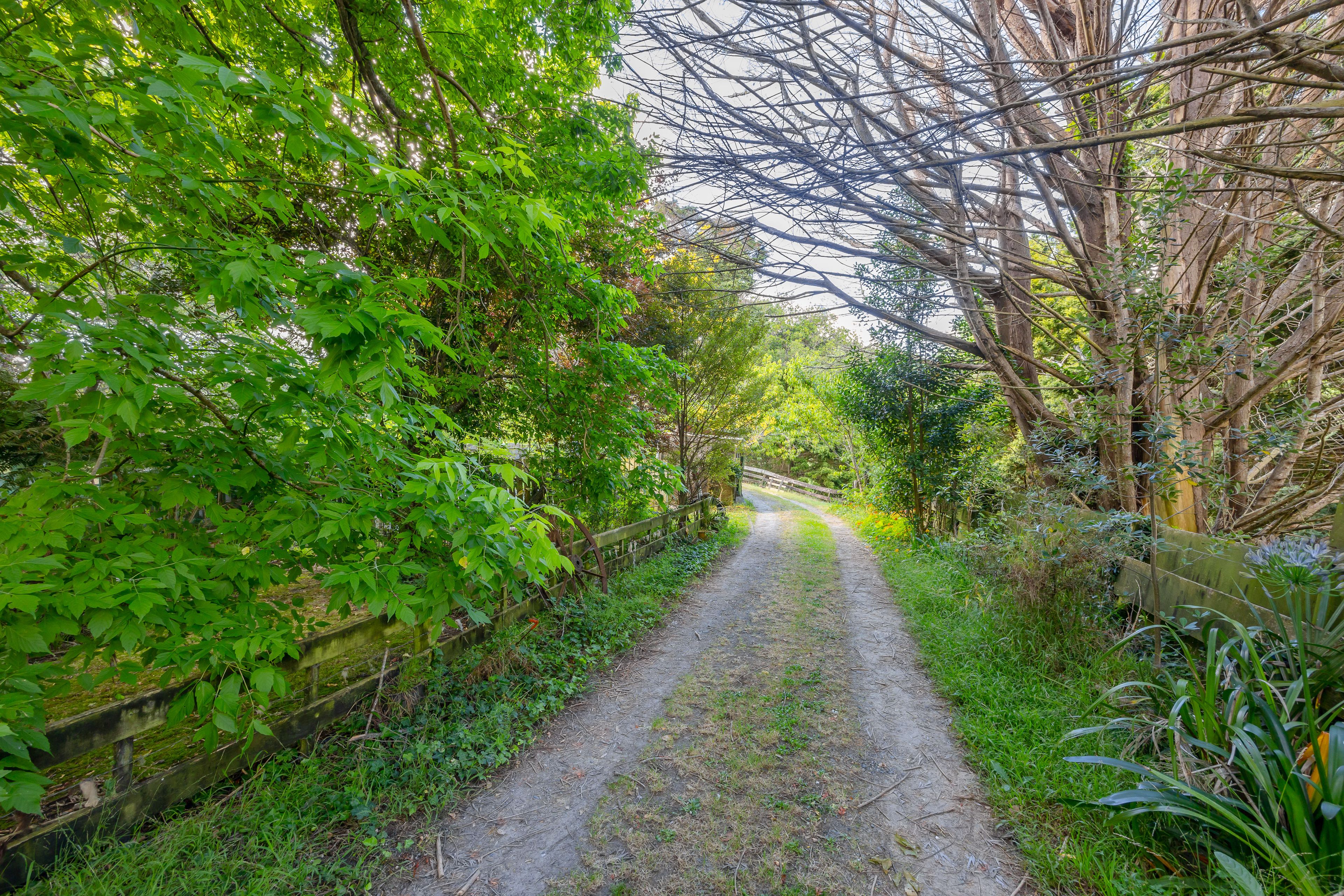 63 Hodgart Road, Warkworth, Rodney 0910 Lifestyle Property for Sale Ray White Warkworth