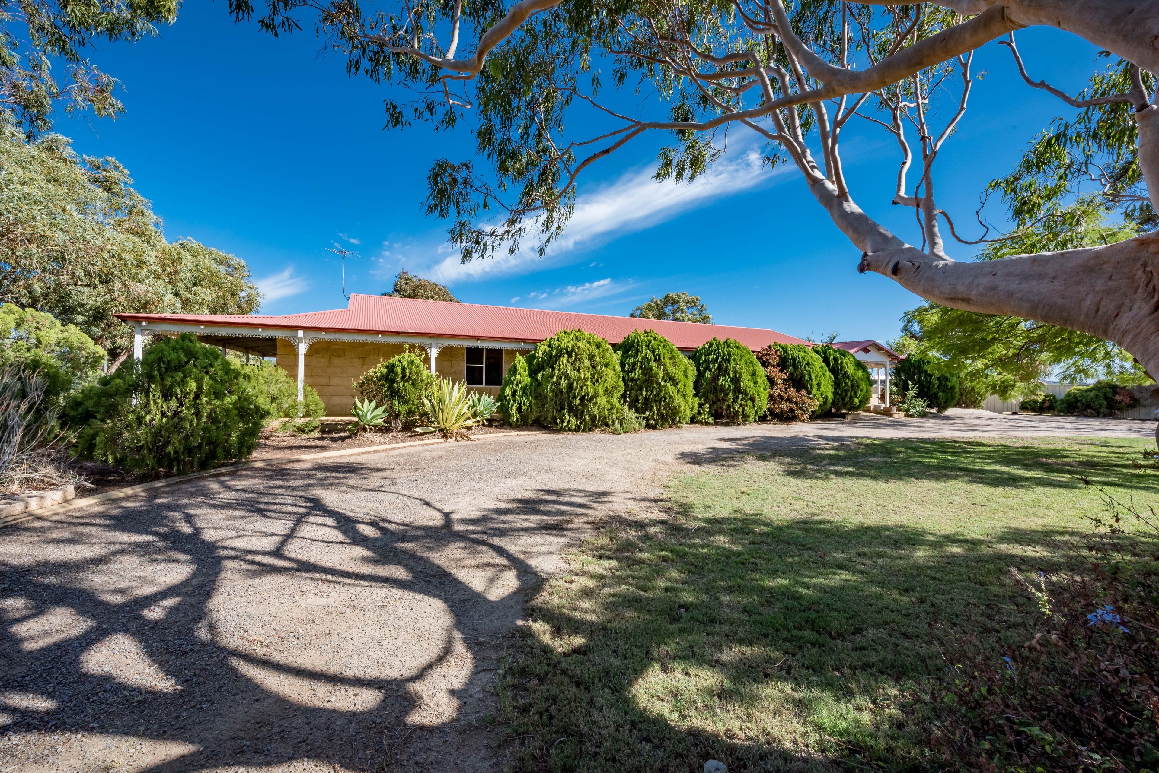 19 David Road, Waggrakine, WA 6530
