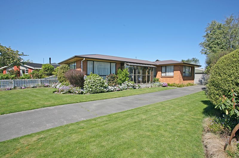 Eye teaser-Purse Pleaser - Harewood