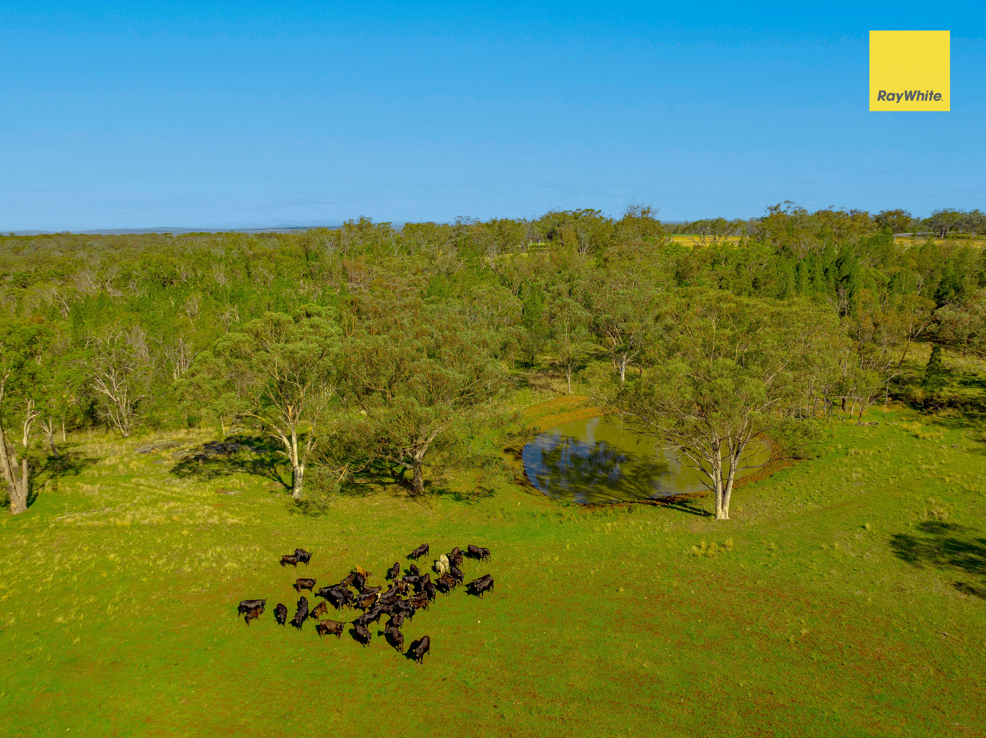 3911 Bundarra Road, Inverell, NSW 2360 Rural Mixed Farming Property for Sale Ray White Rural