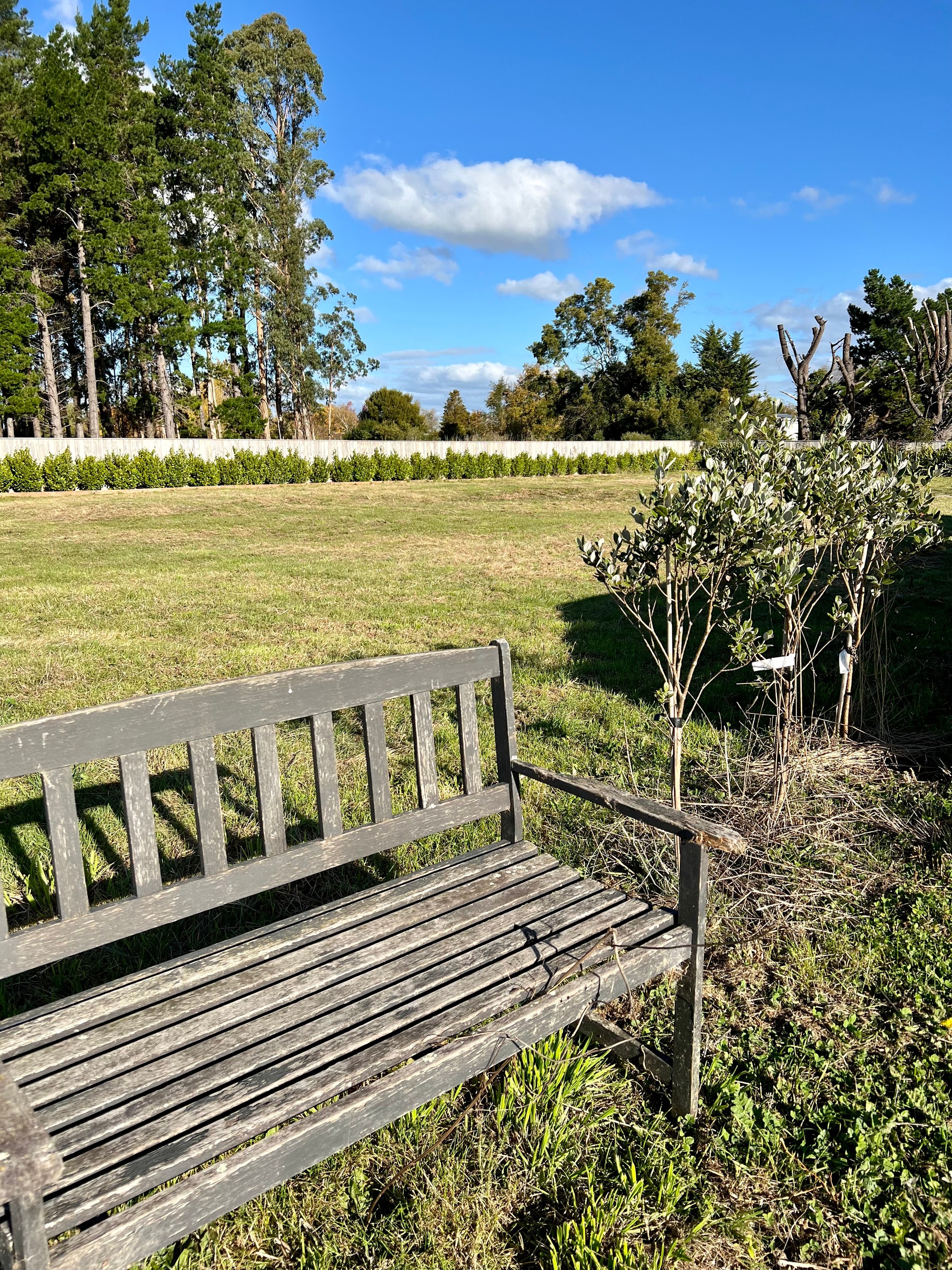 12 Miles Lane, Carterton, Carterton District