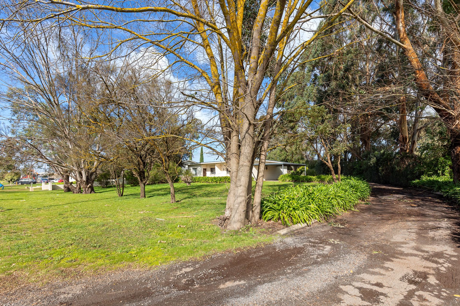 3/239 Jubilee Highway West — photo 4 of 8