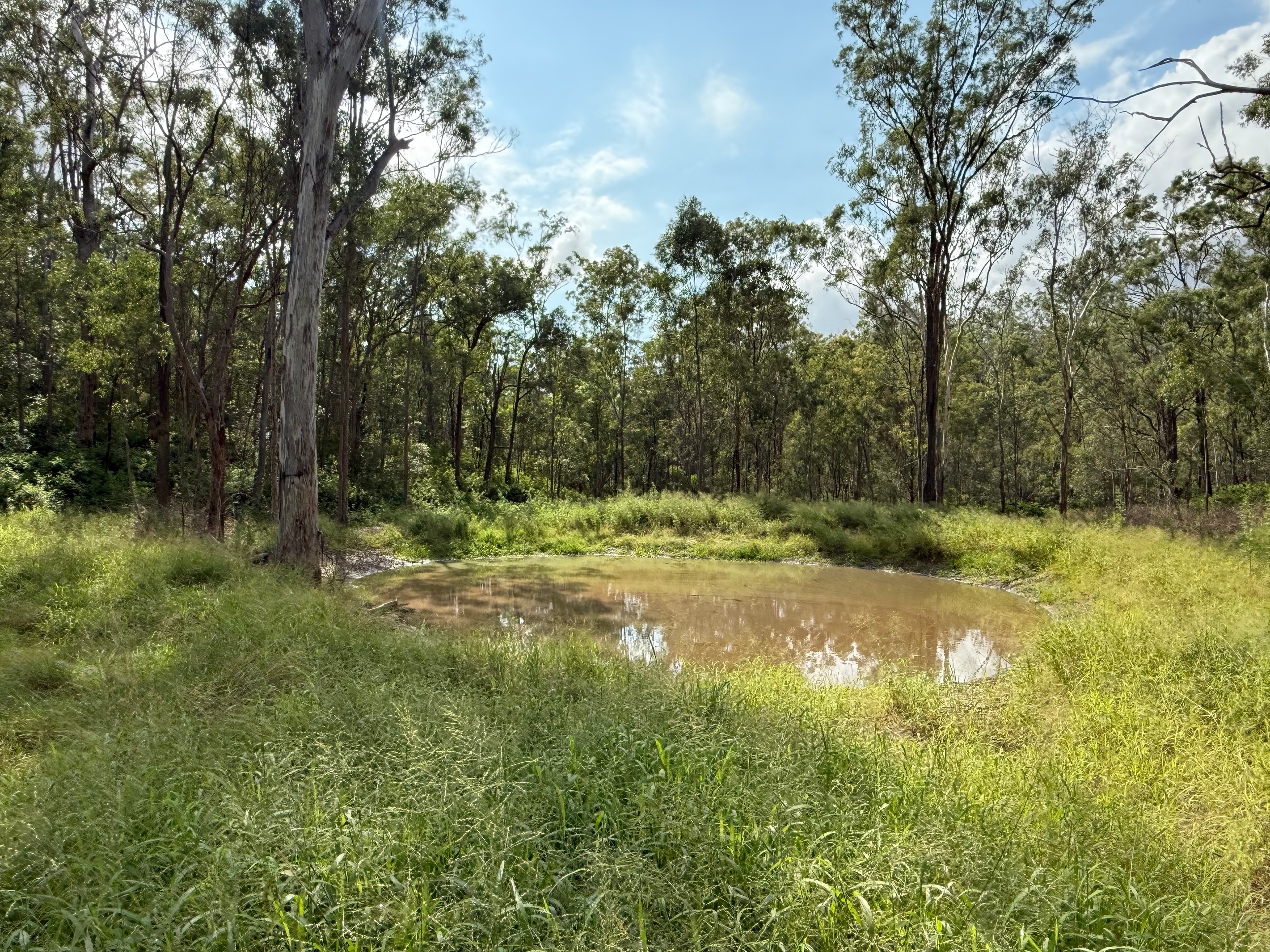 Lot 142 Pierces Creek Road, Emu Creek, QLD 4355