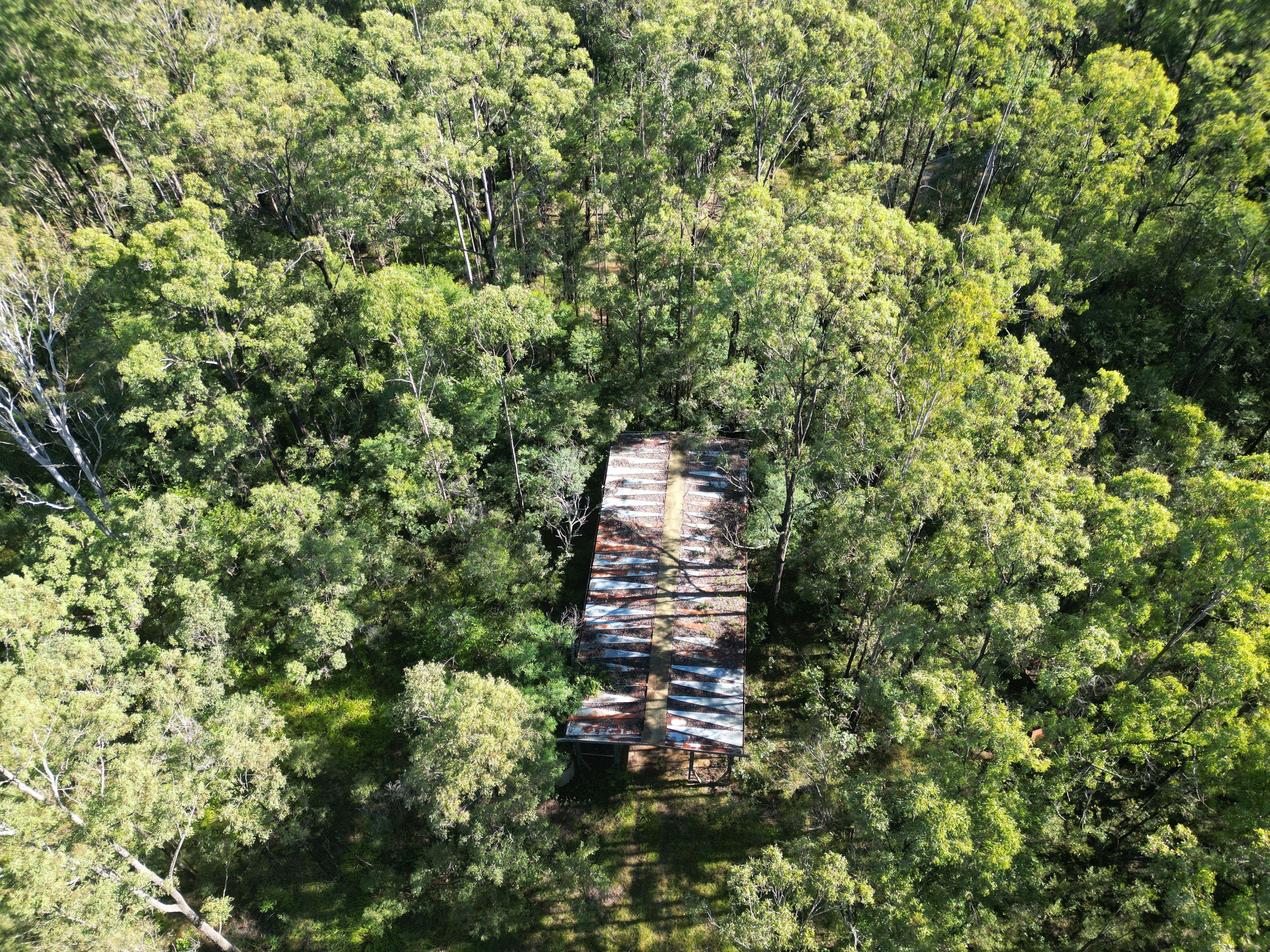 3424 Bungawalbin Whiporie Road, Whiporie, Casino, NSW 2470