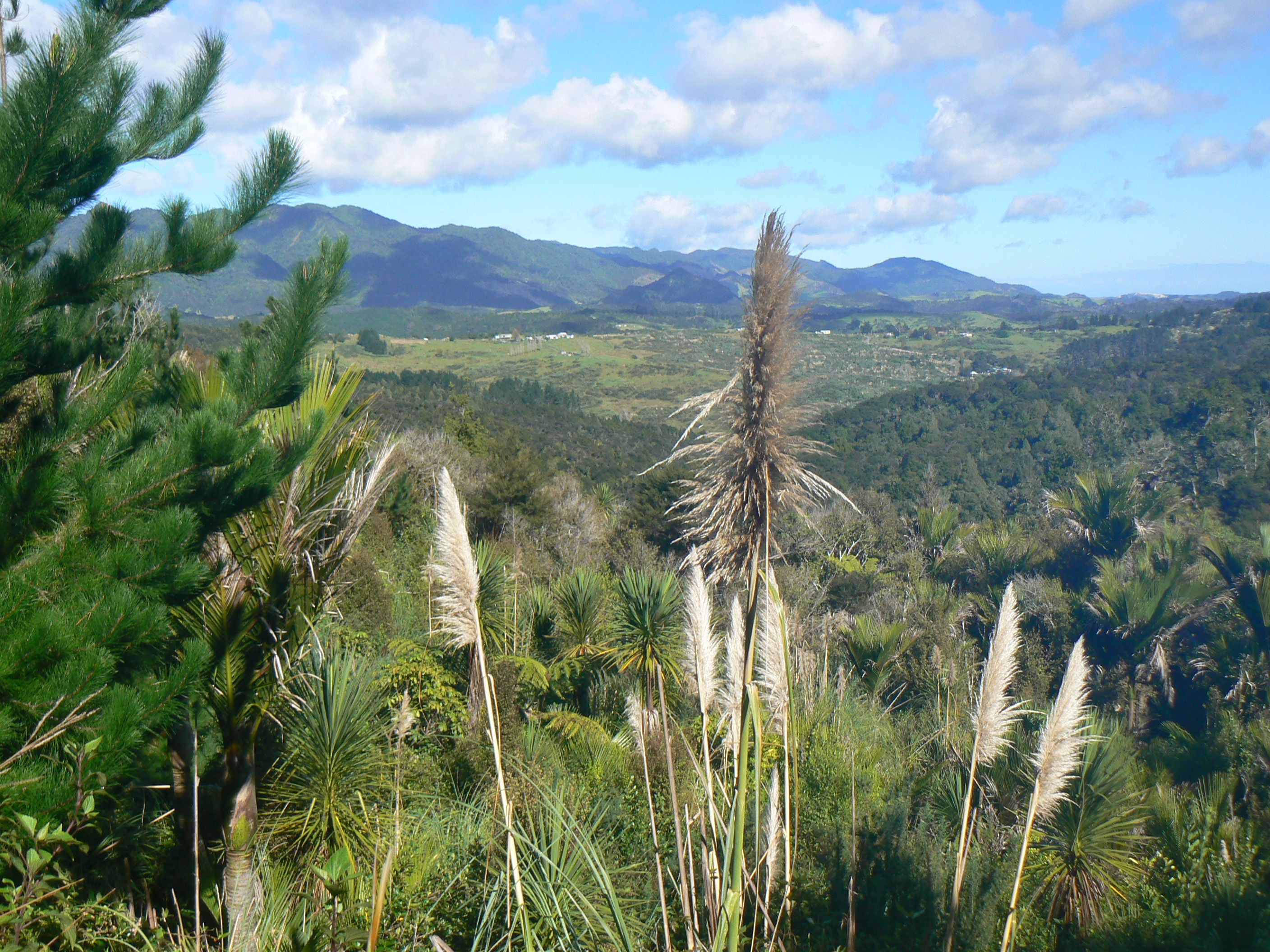 340 Duddy Road, Kaikohe, Far North District
