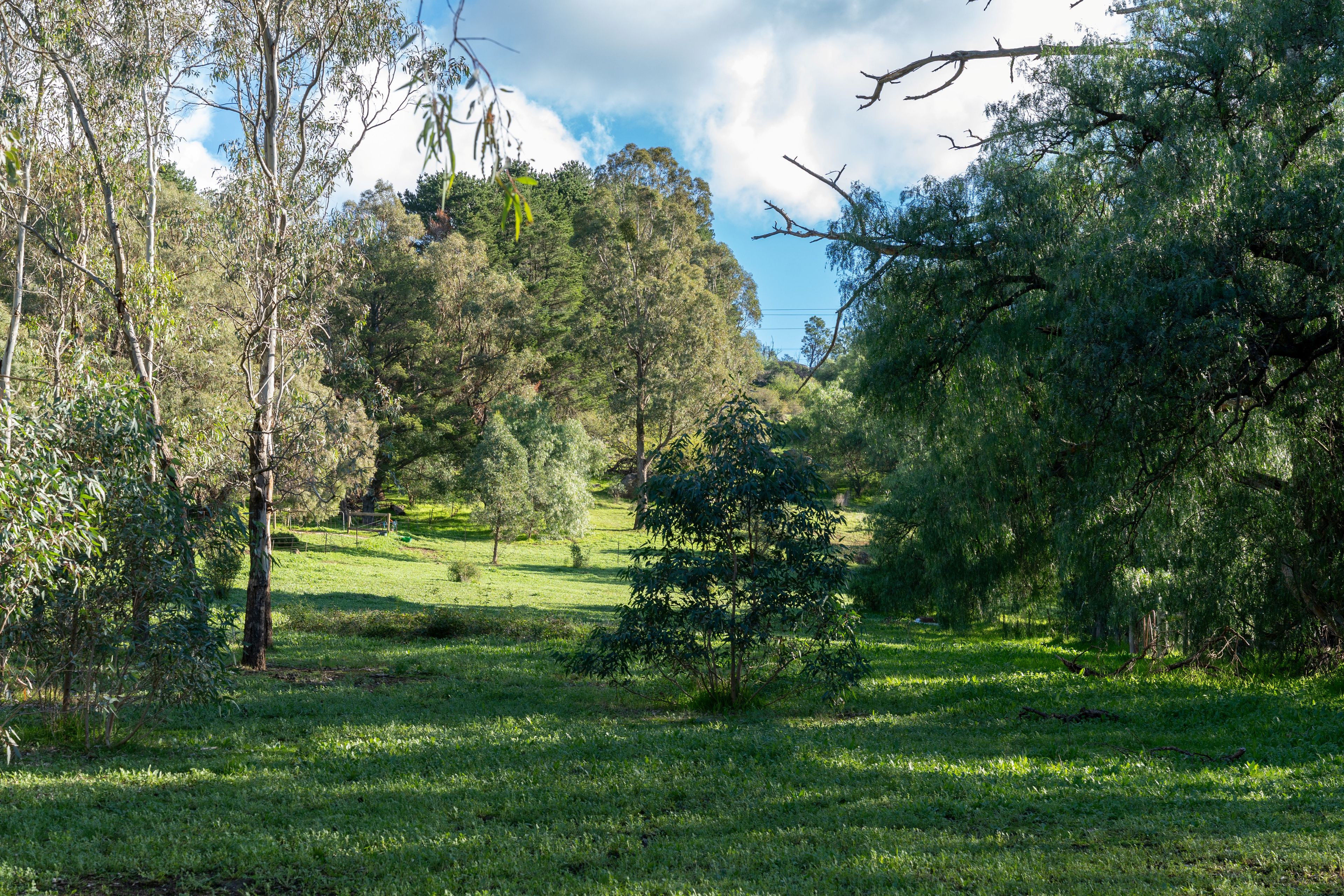 8389 Goulburn Valley Highway — photo 6 of 22