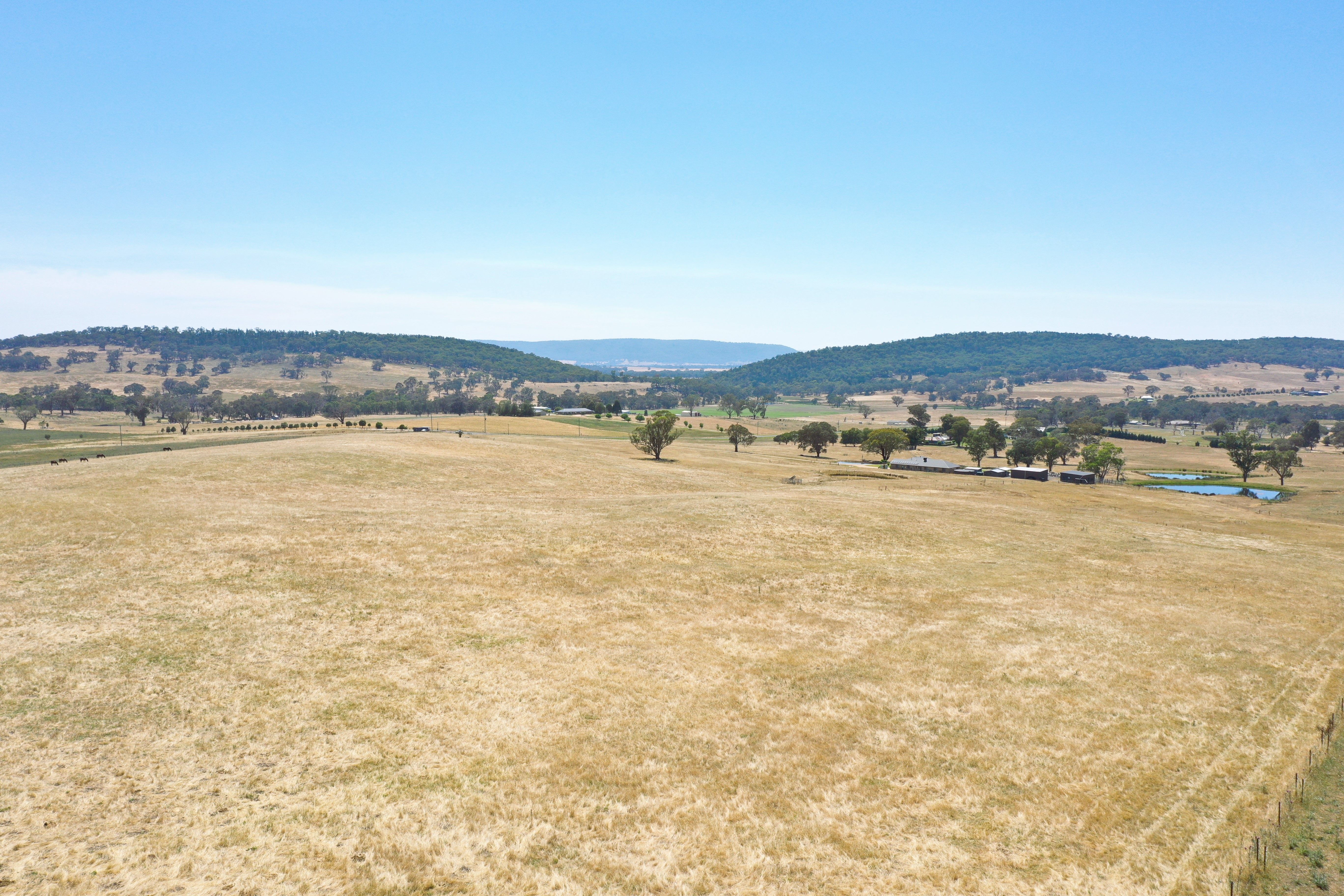 195 Wambanumba Drive, Young, NSW 2594