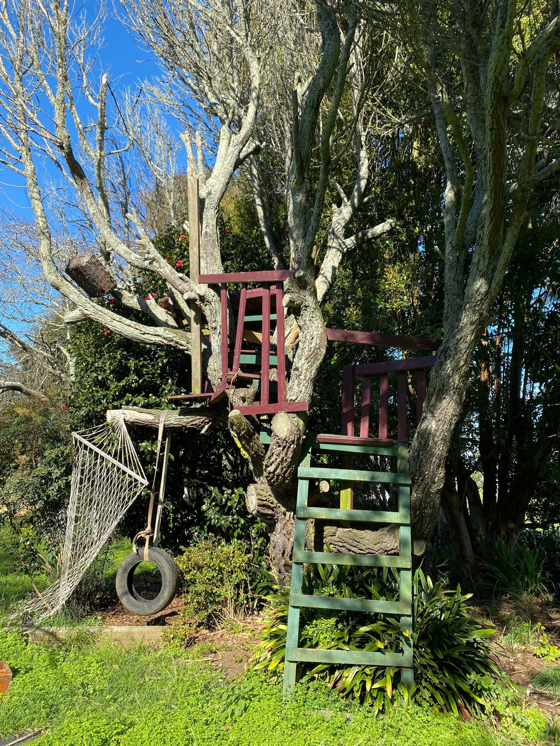Karaka, Franklin