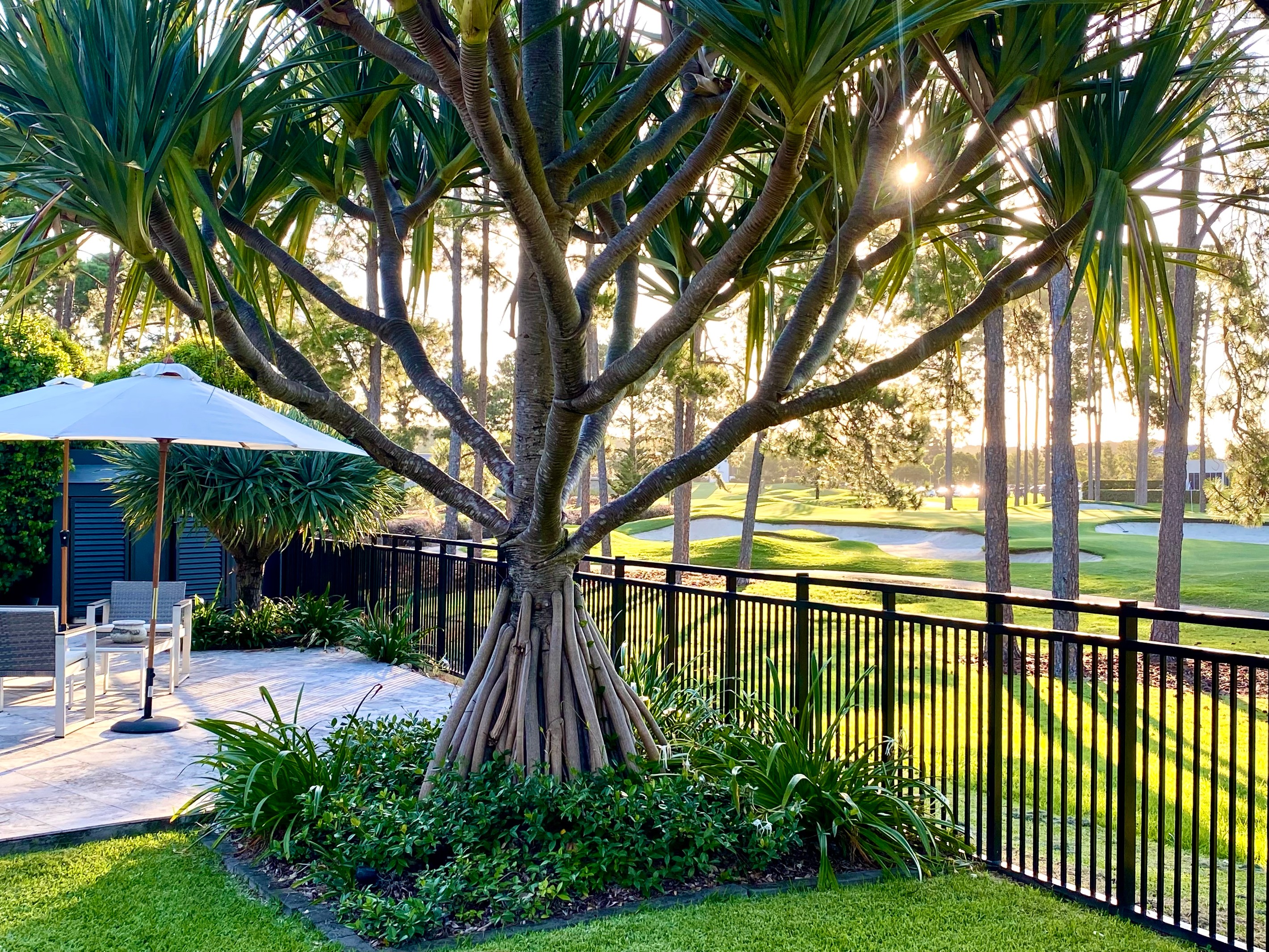 2217 Arnold Palmer Drive, SANCTUARY COVE, QLD 4212