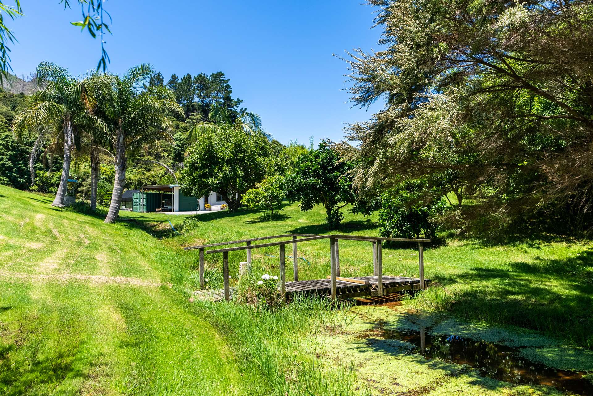 1981 Whangarei Heads Road photo 33