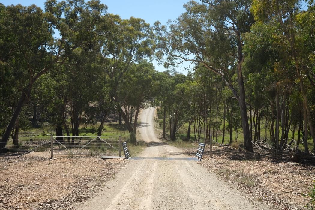 343 Greenwood Road, Murrumbateman, NSW 2582 Sold Acreage/SemiRural