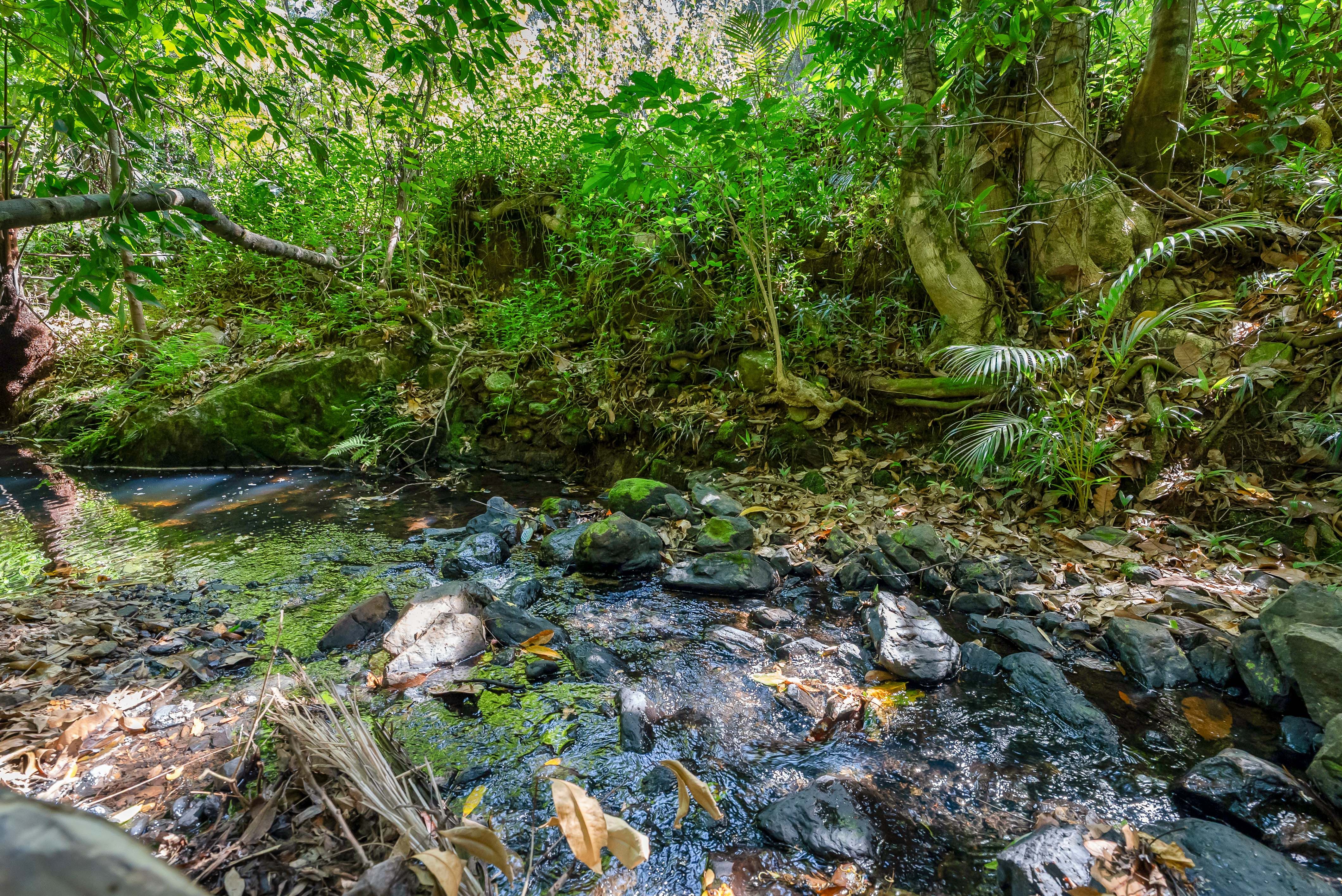 3 Williamson Drive, Kuranda, QLD 4881