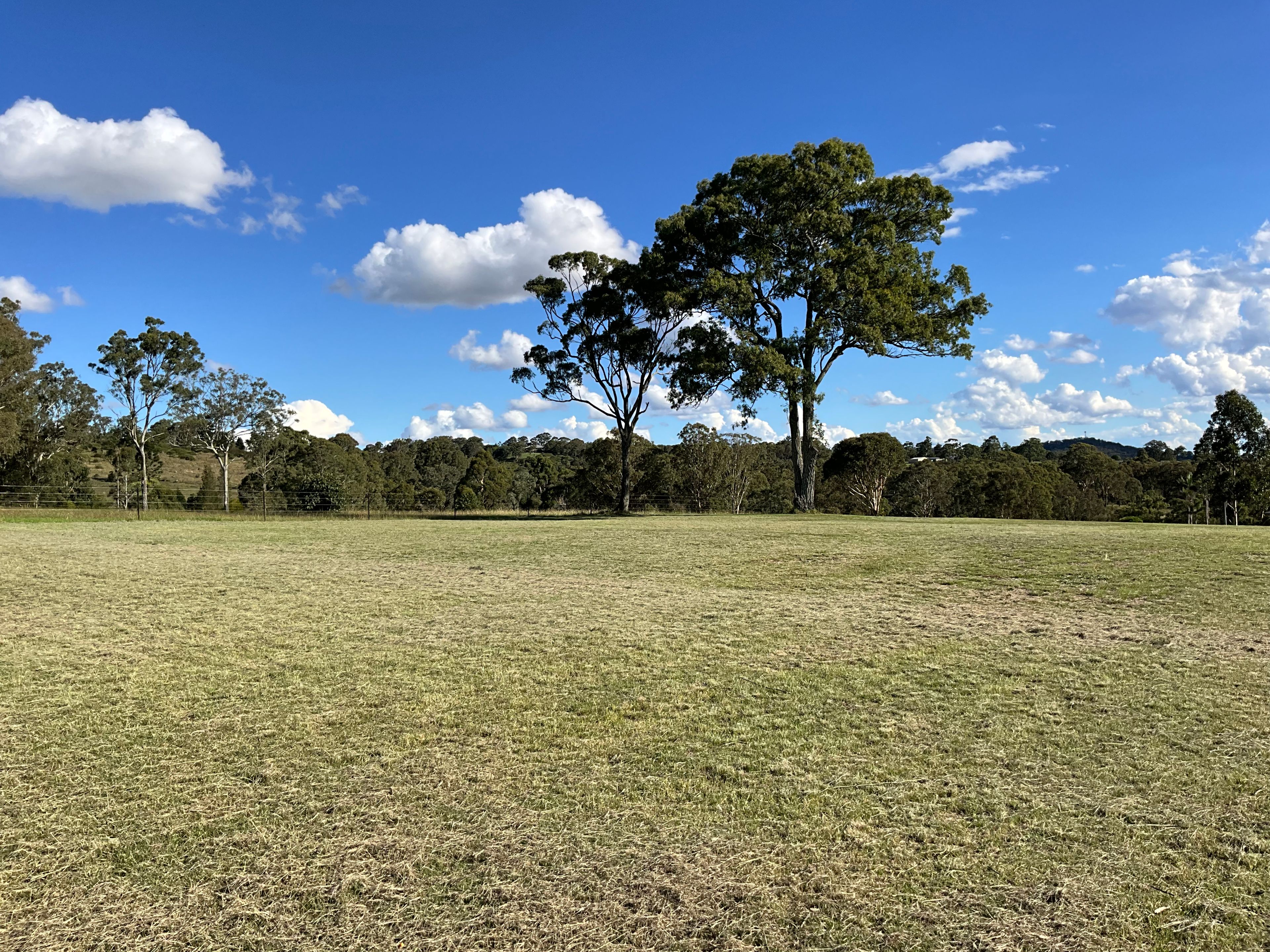 62 Frew Street, Darling Heights, QLD 4350