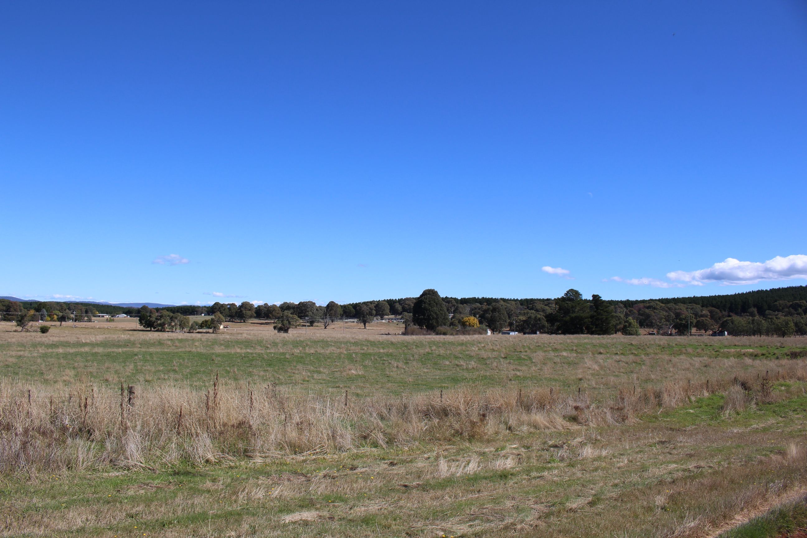 Lot 1/138 Courabyra Road, Tumbarumba, NSW 2653 Sold Rural Livestock