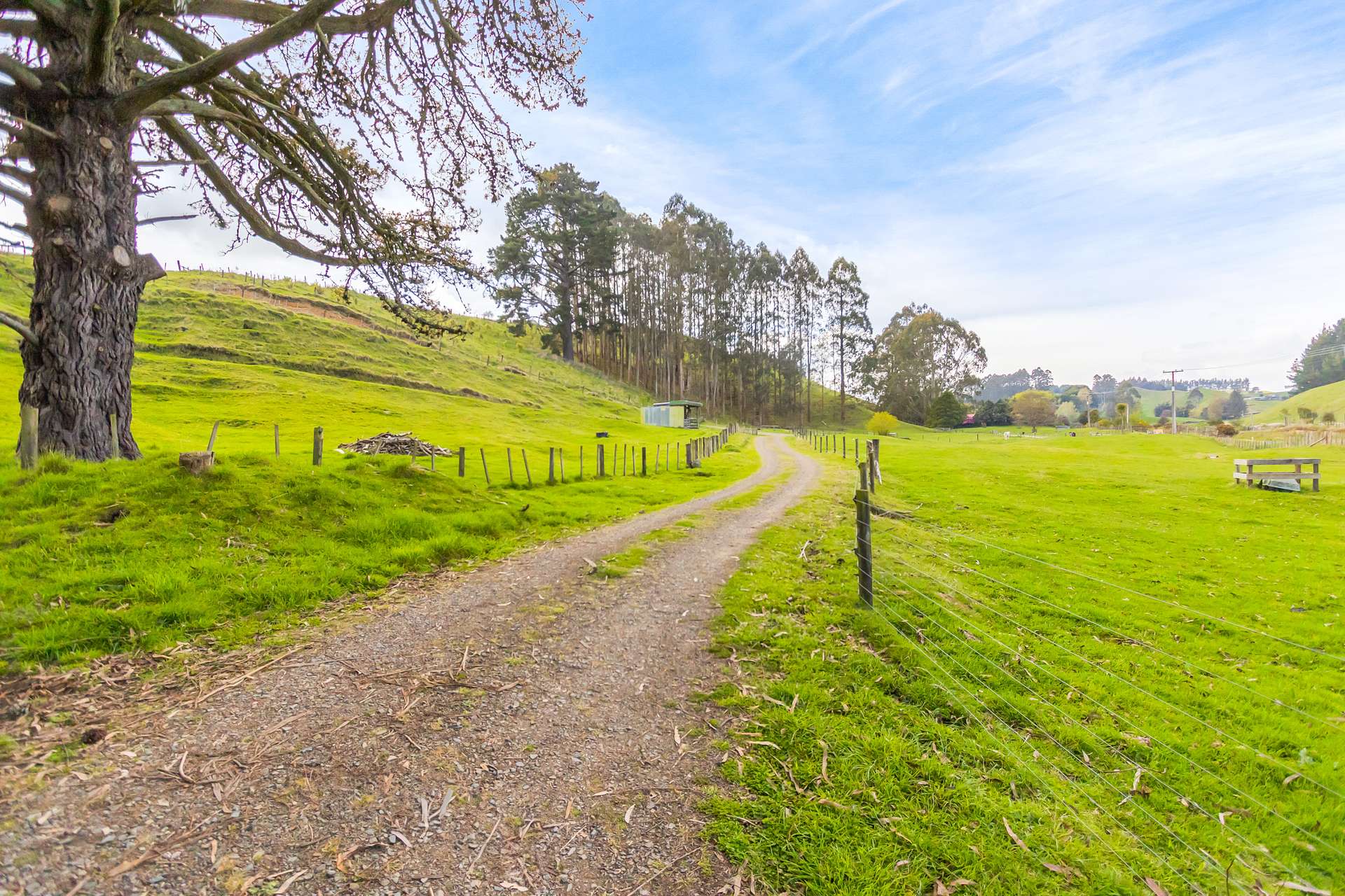 212 Whangamata Road photo 28