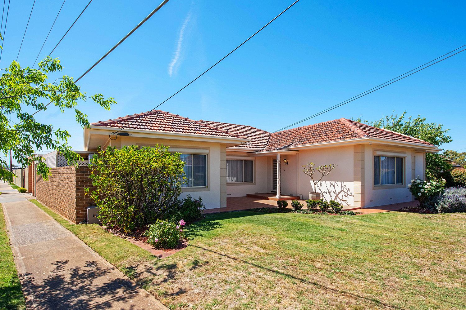 1 Hartog Street, Flinders Park, SA 5025