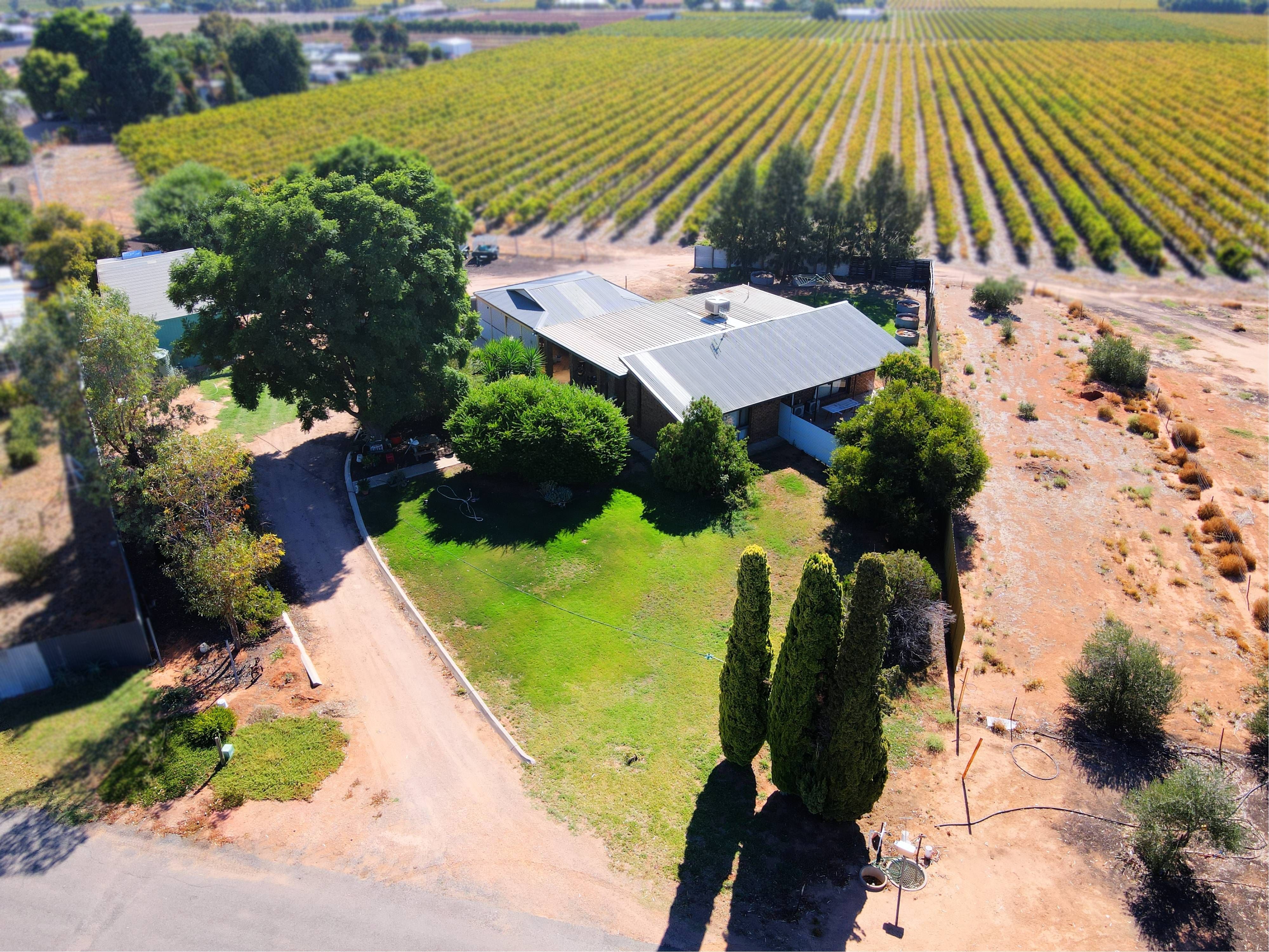 40 Twentyfourth Street, Renmark SA 5341