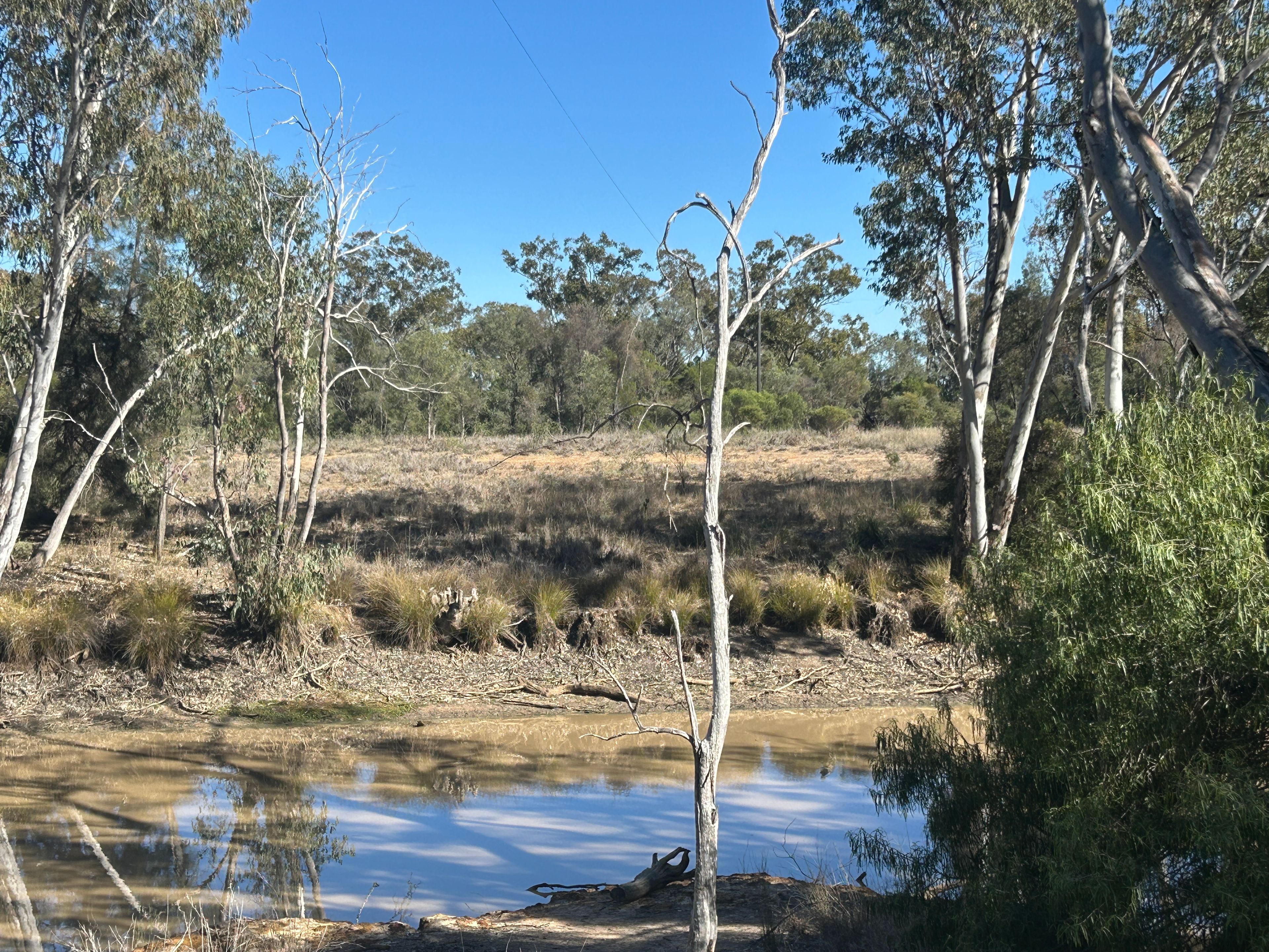 3770 Condamine Meandarra Road — photo 22 of 24