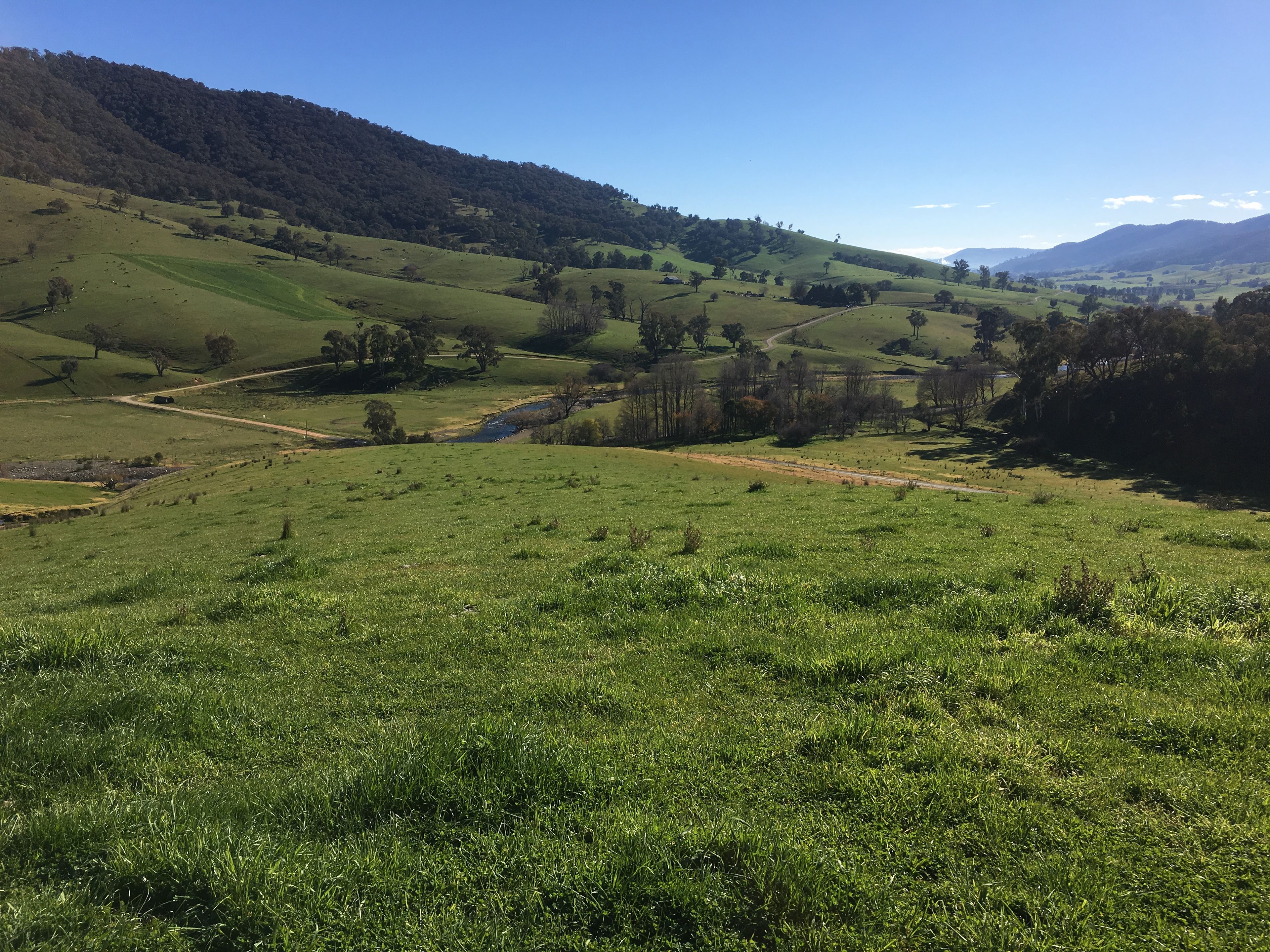 1435 (Lot 9, 10 and 11) East Gilmore Road, Tumut, NSW 2720