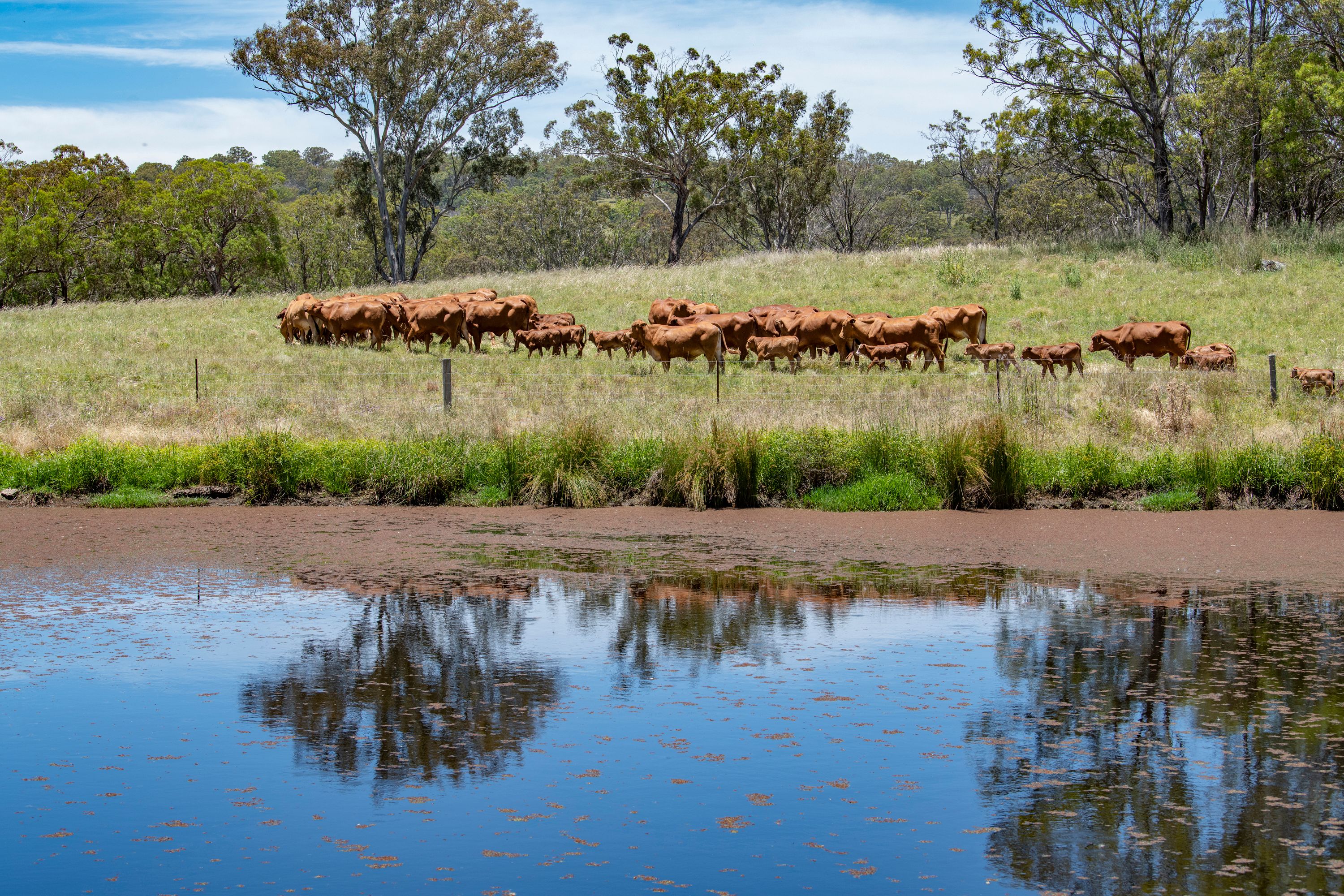 "Braeside" 28 Crystal Mountain Road, Dalveen, QLD 4374 Sold Rural