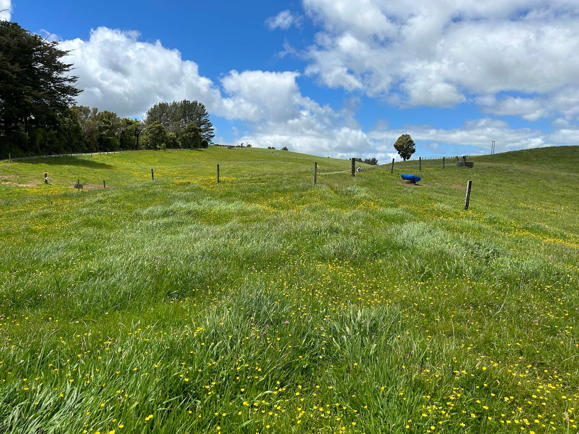 2868 SH 31, Kawhia Road photo 8