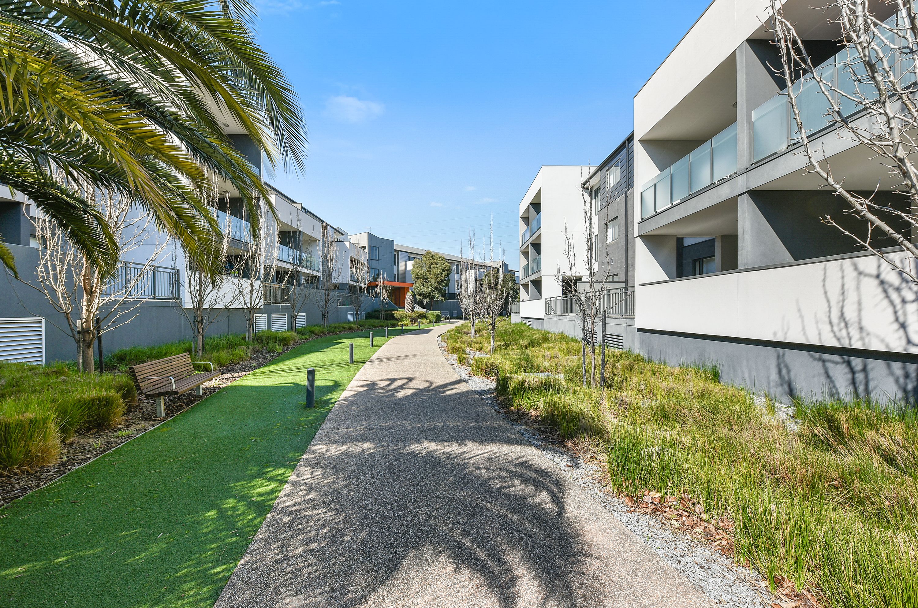 302/59 Autumn Terrace, Clayton South, VIC 3169