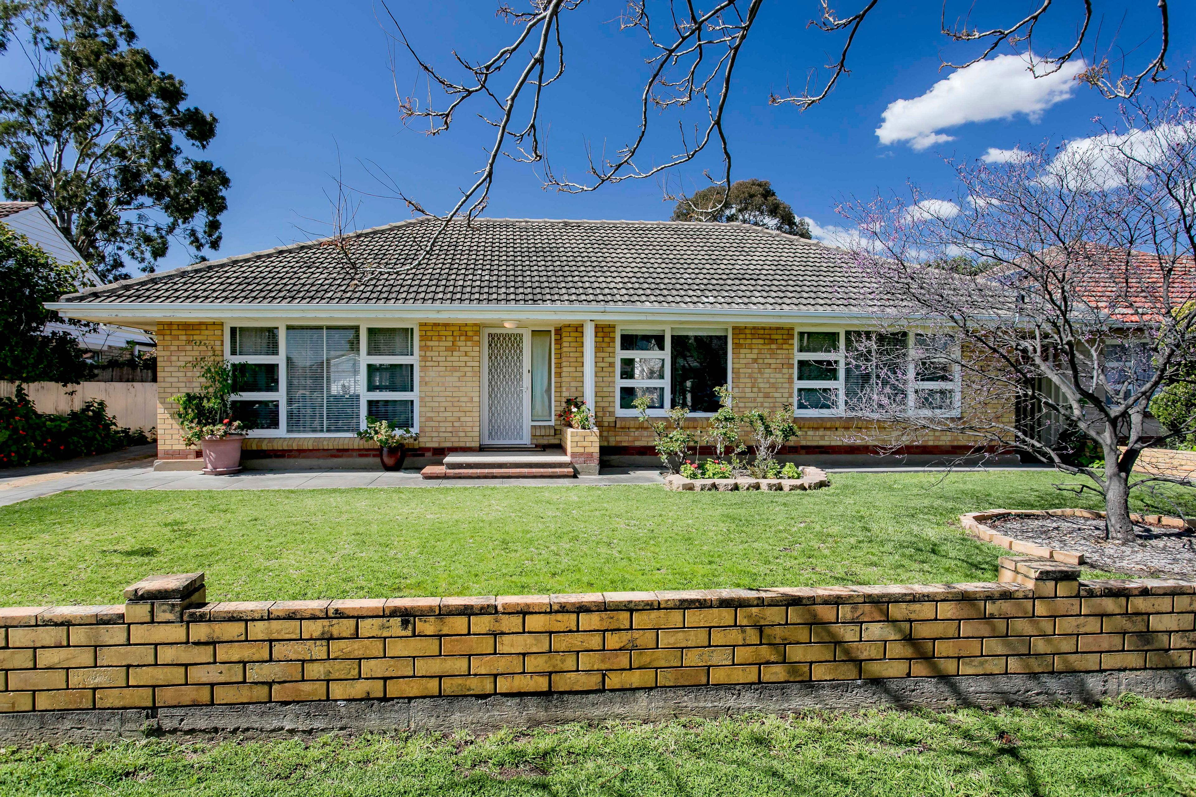 25 Lancelot Drive, Daw Park SA 5041
