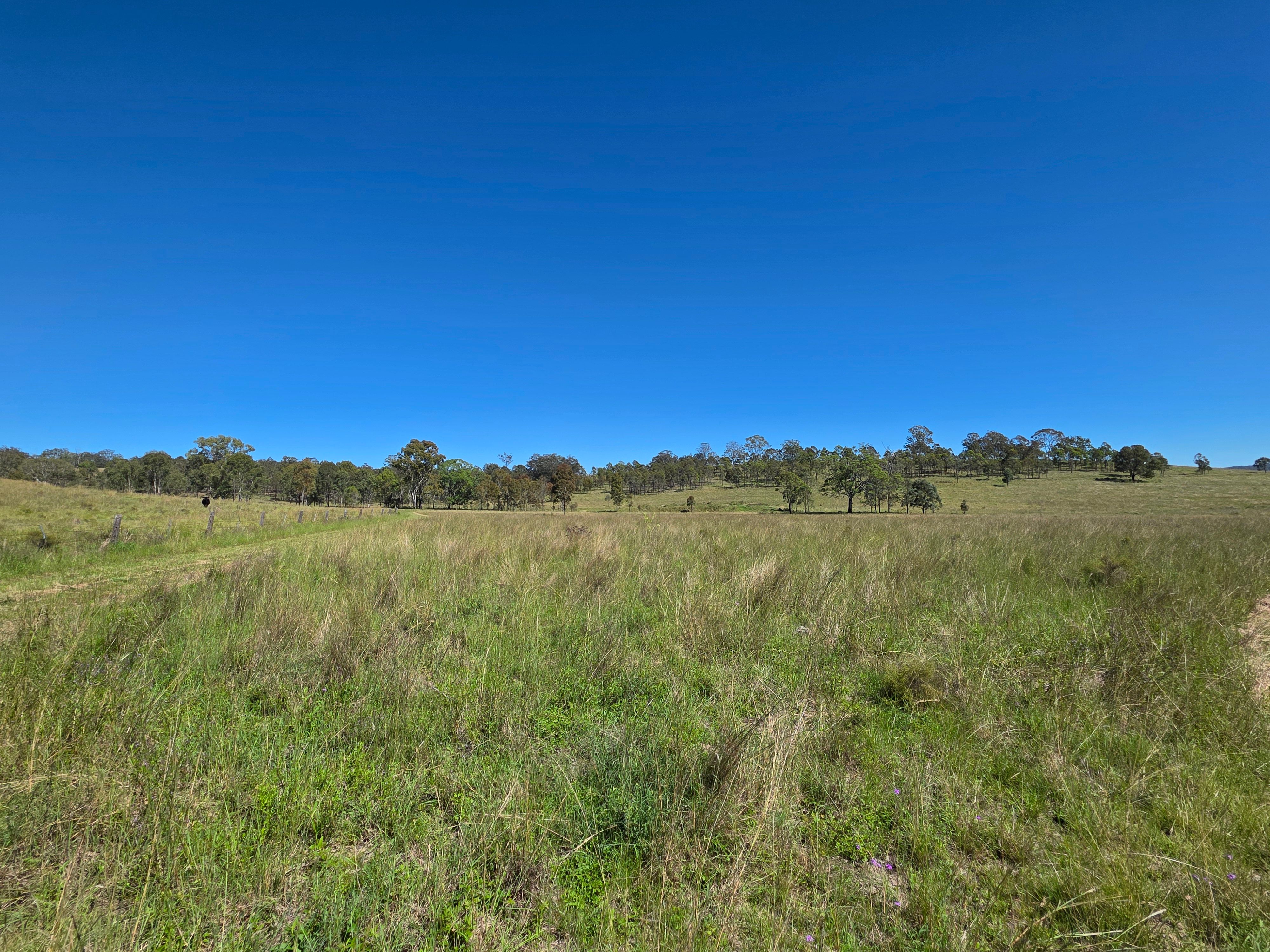 160 Rocky Gully Road — photo 15 of 30