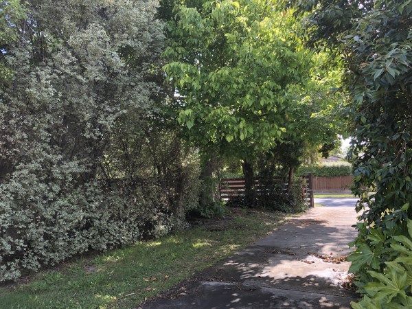 14 Long Street, Langwarrin, VIC 3910