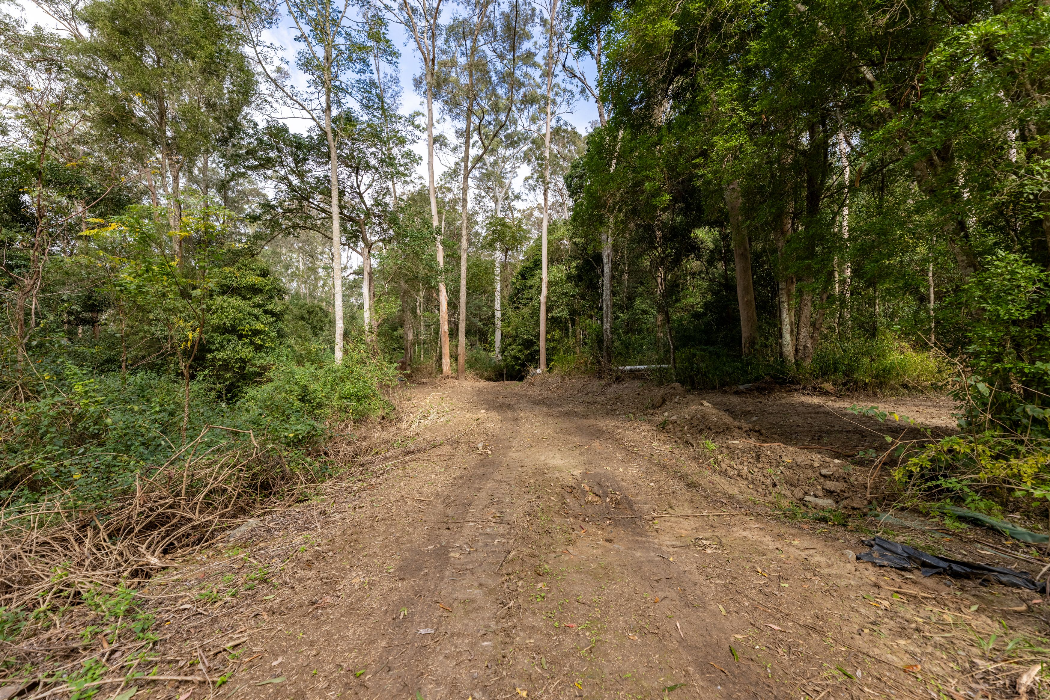 556 Newman Lane — photo 8 of 16