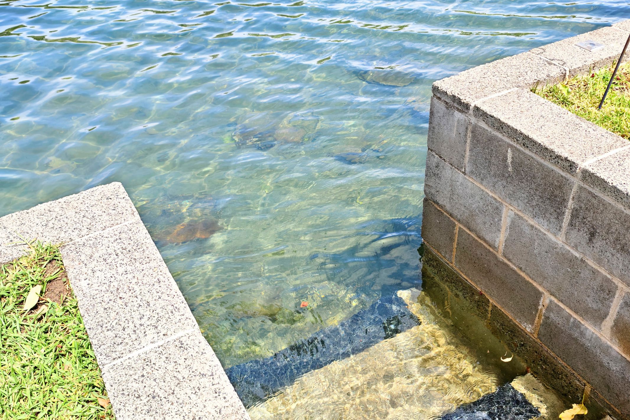 77 Walton Way, Currarong, NSW