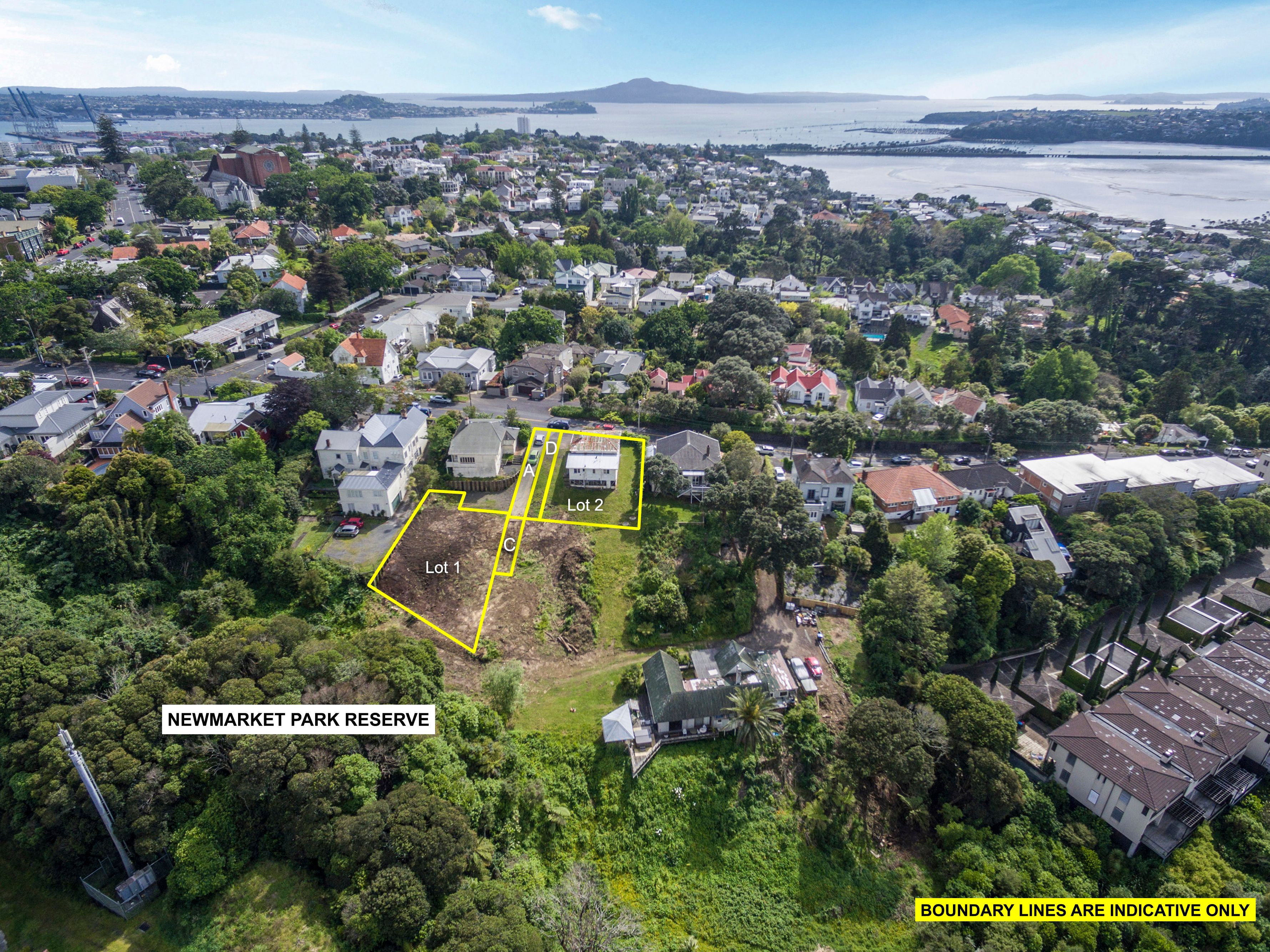 17 Ayr Street, Parnell, Auckland City