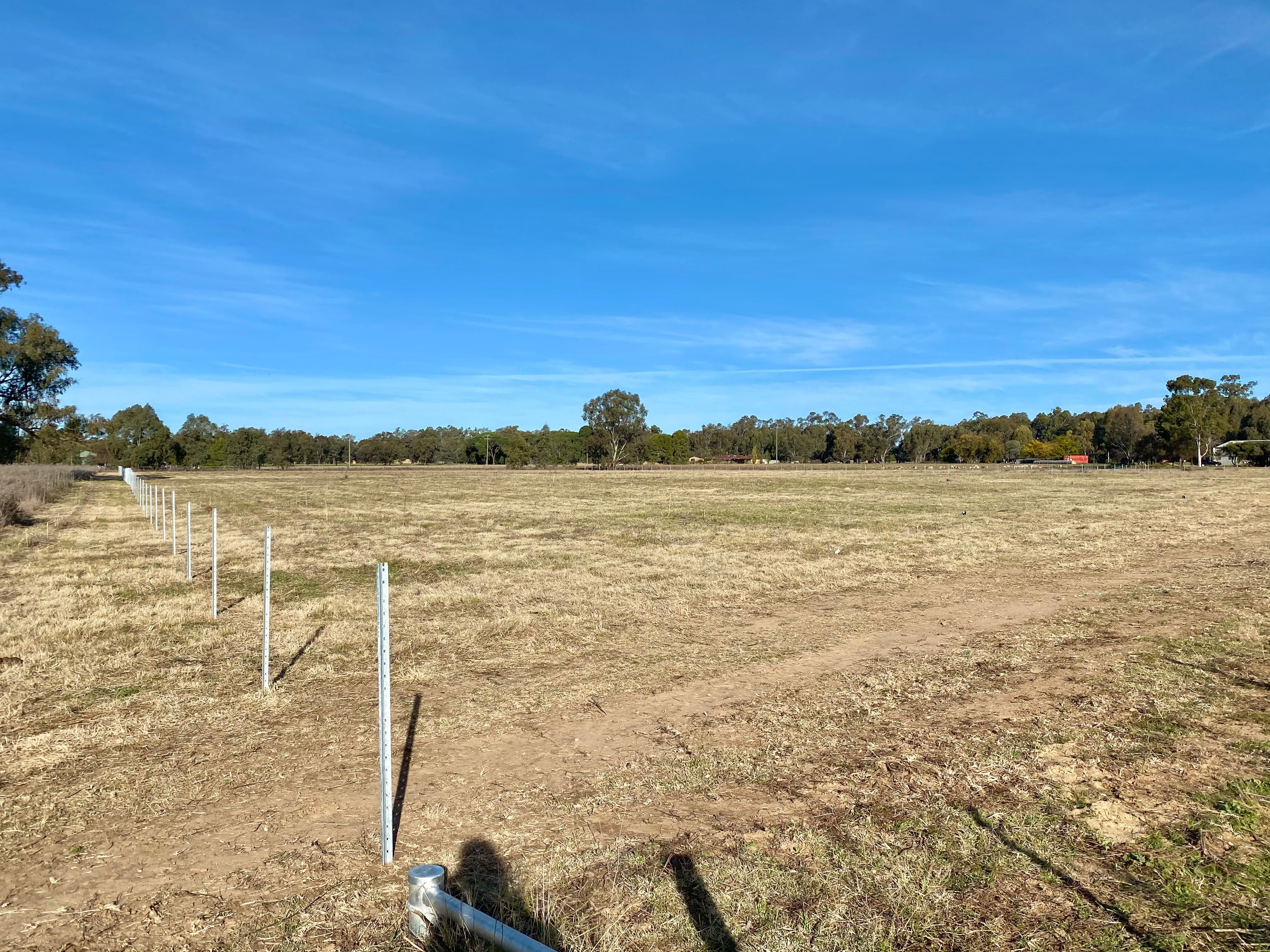 Lot 37 River Road, Forbes, NSW 2871