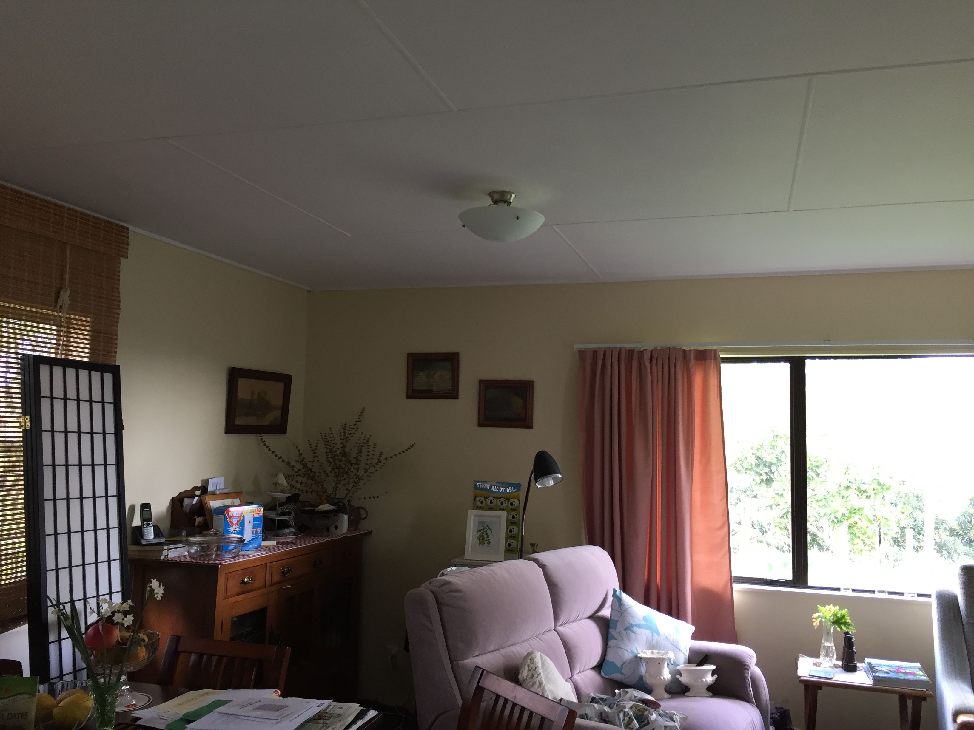 Te Puke, Western Bay Of Plenty District