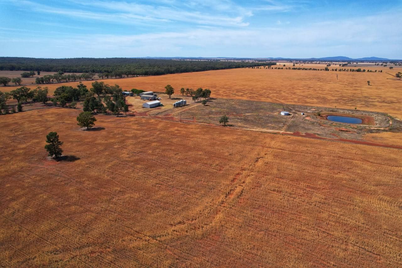 'Reas Falls' 353 Fifield Trundle Road, Trundle, NSW 2875