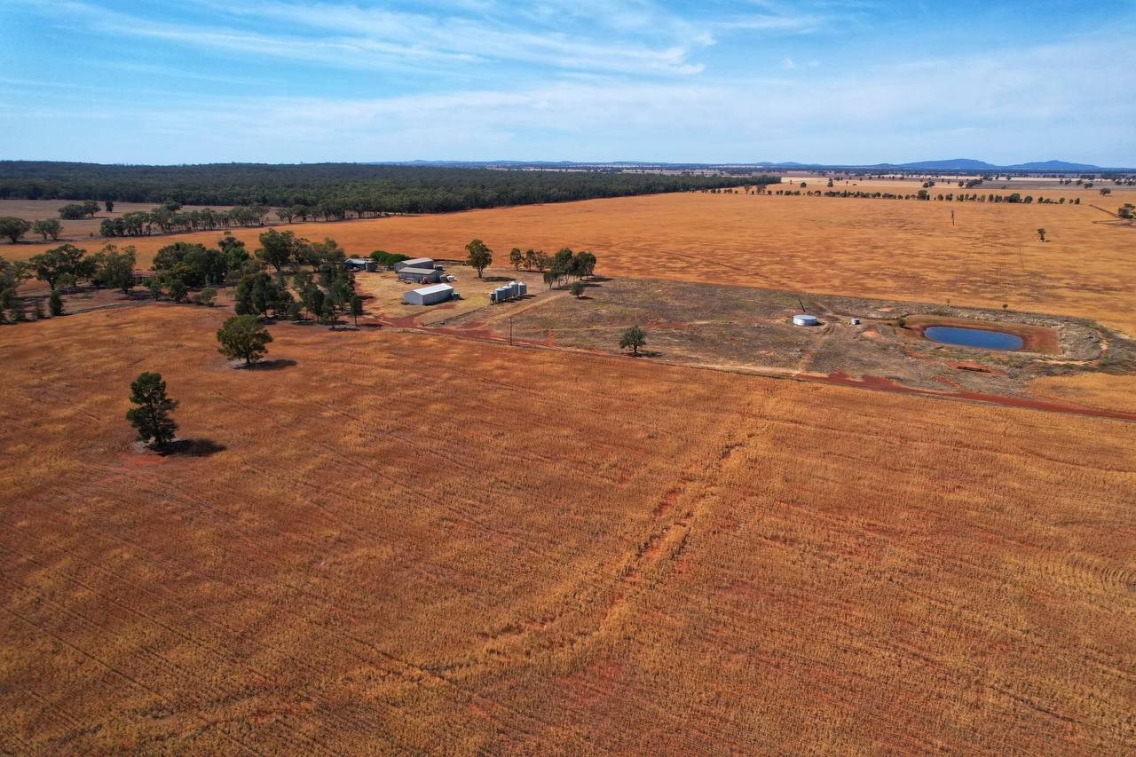 'Reas Falls' 353 Fifield Trundle Road, Trundle, NSW 2875