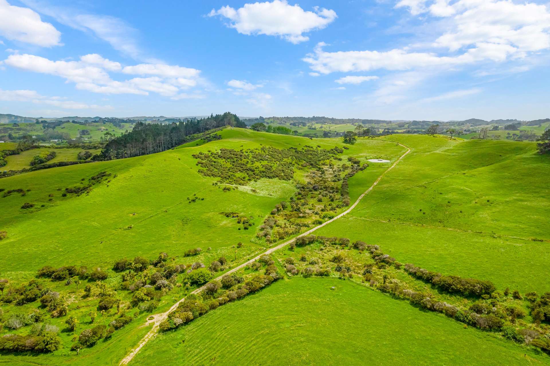 515 Kahikatea Flat Road photo 5