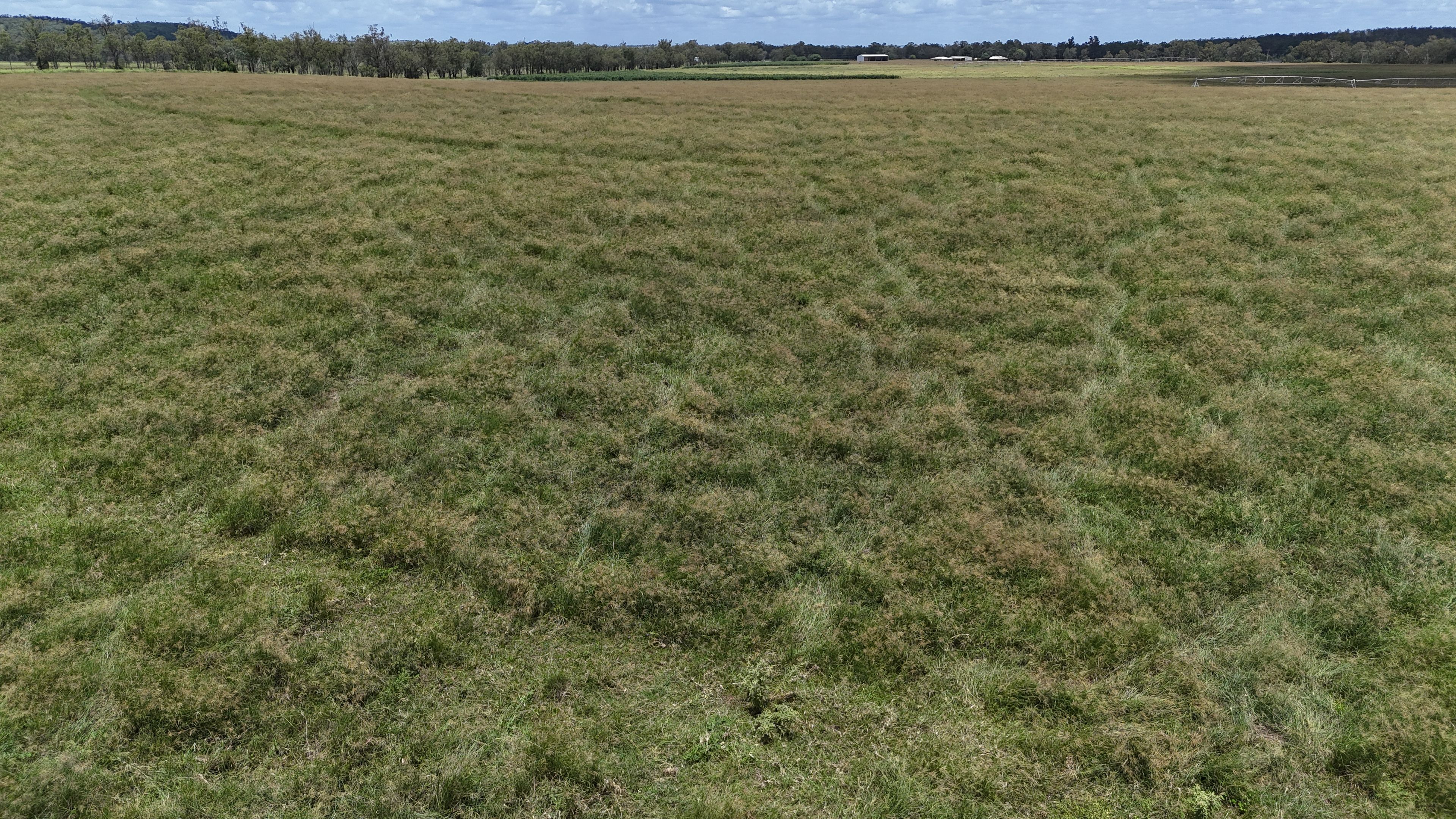 296 O'Bil Bil Road, Malmoe, Eidsvold, QLD 4627 Rural Property for