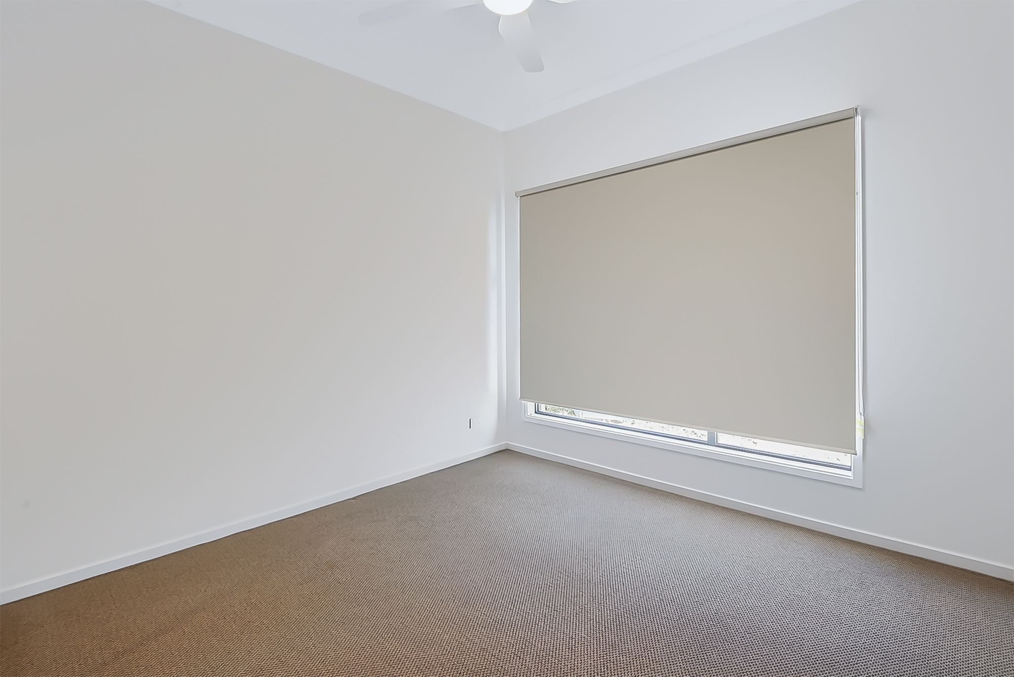 12 Flat Pea Crescent — photo 17 of 17