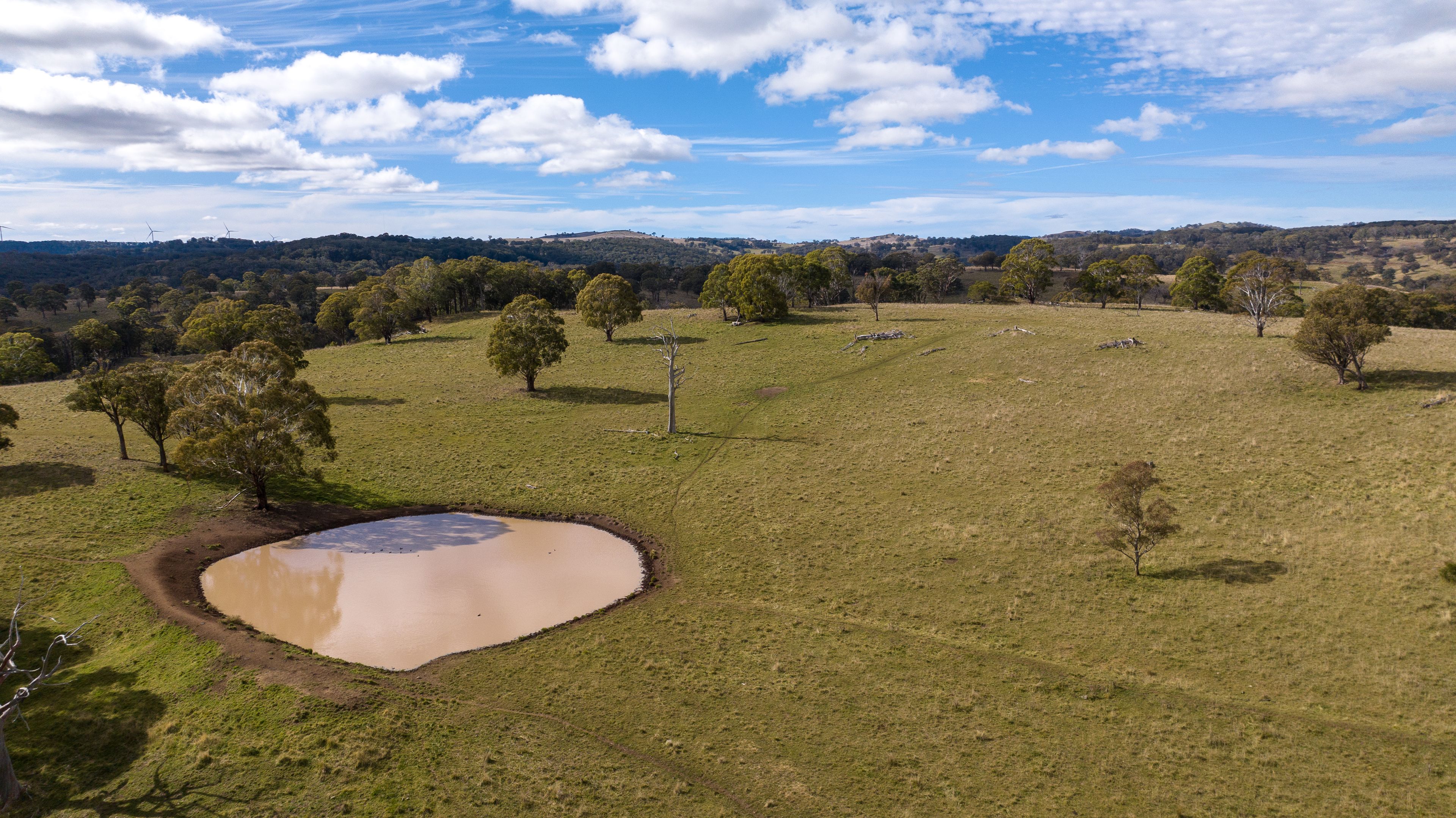 "Koryphe" 217 Summers Road, Maybole, NSW 2365 Sold Rural Mixed