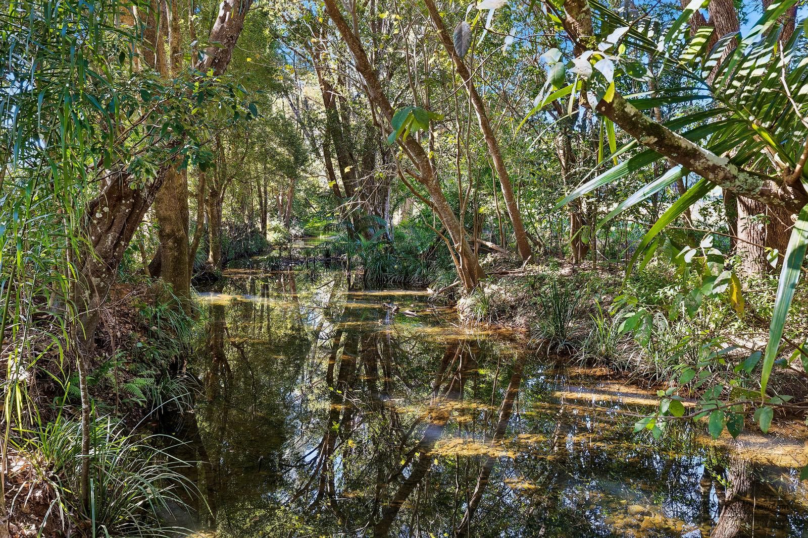 315 Upper Crystal Creek Road — photo from Ray White Rural Murwillumbah